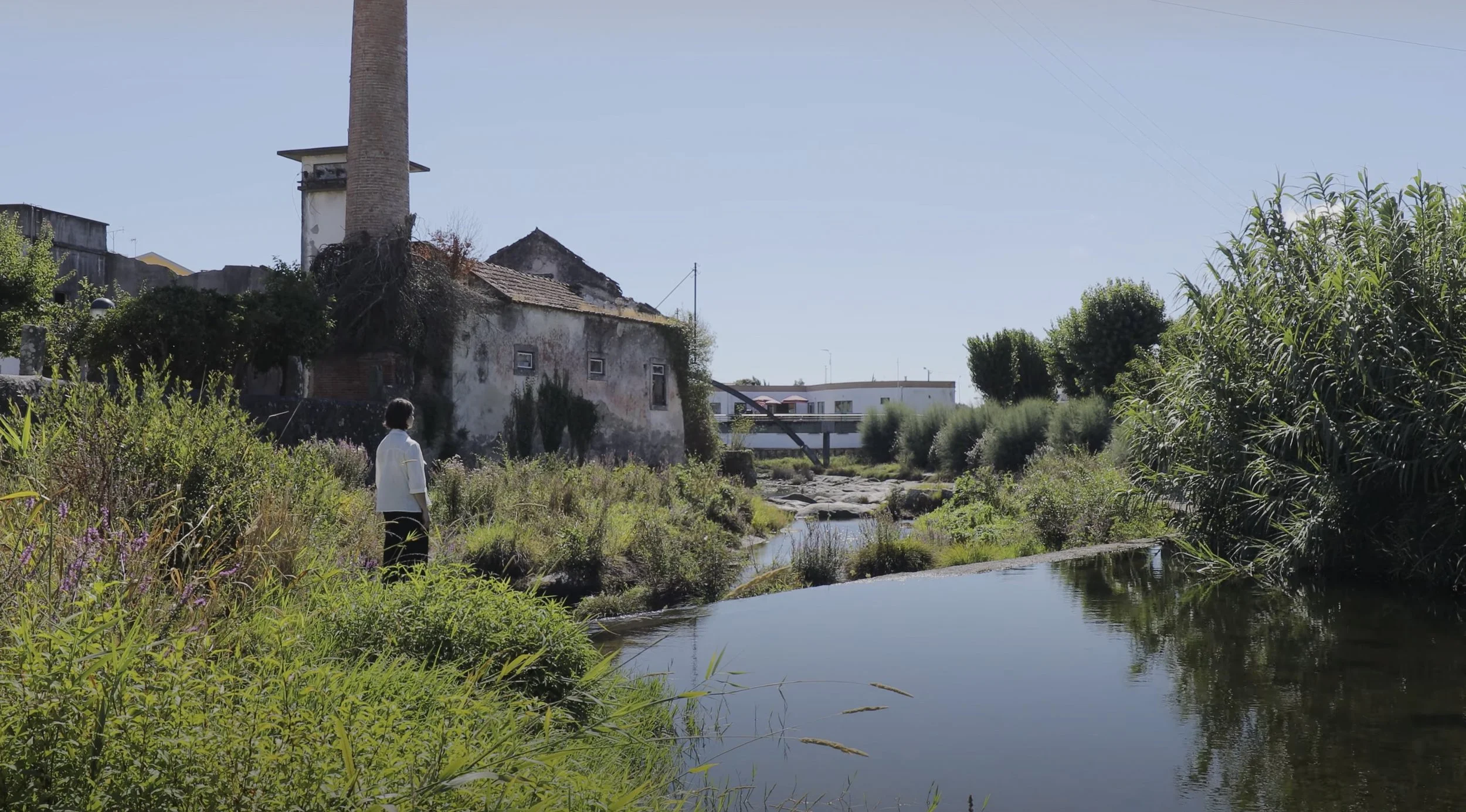 captura de ecrã 2023-04-25, às 15.46.06.jpg