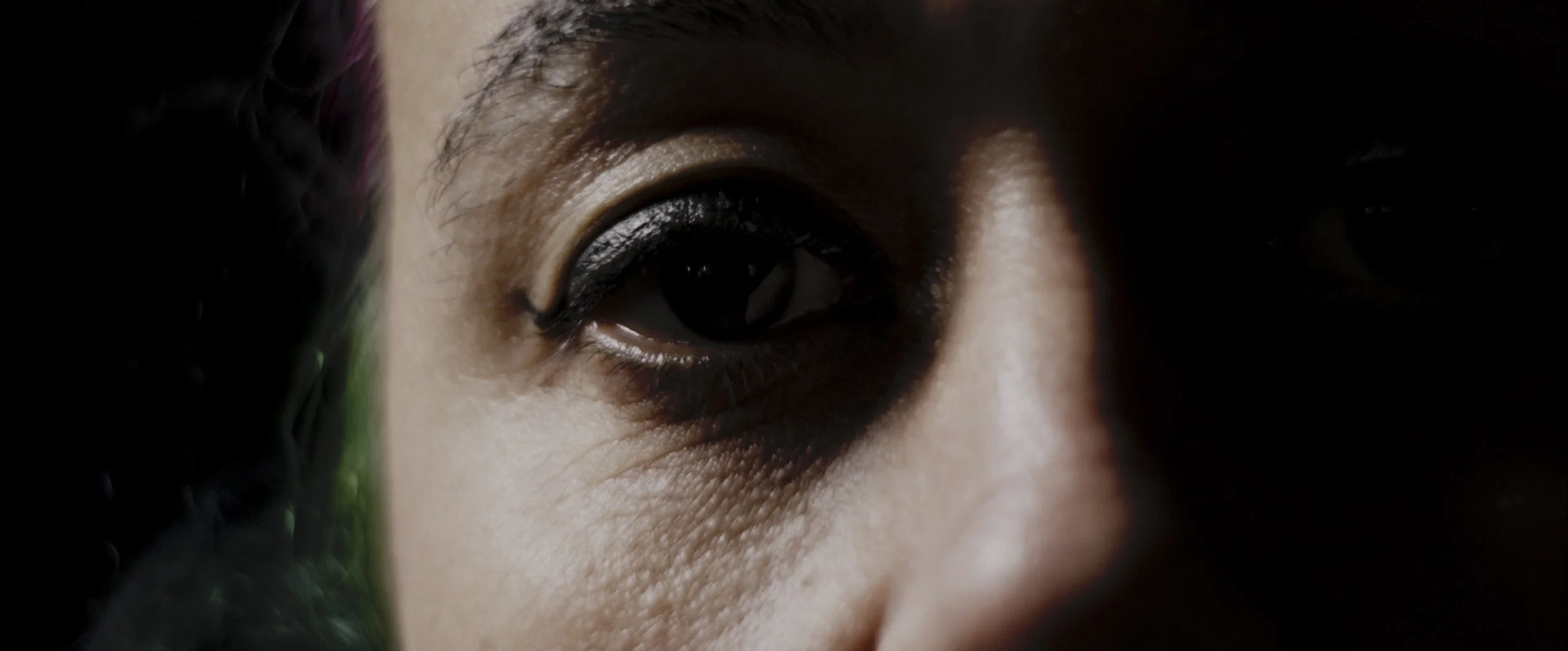 captura de ecrã 2026-02-09, às 15.12.21.jpg