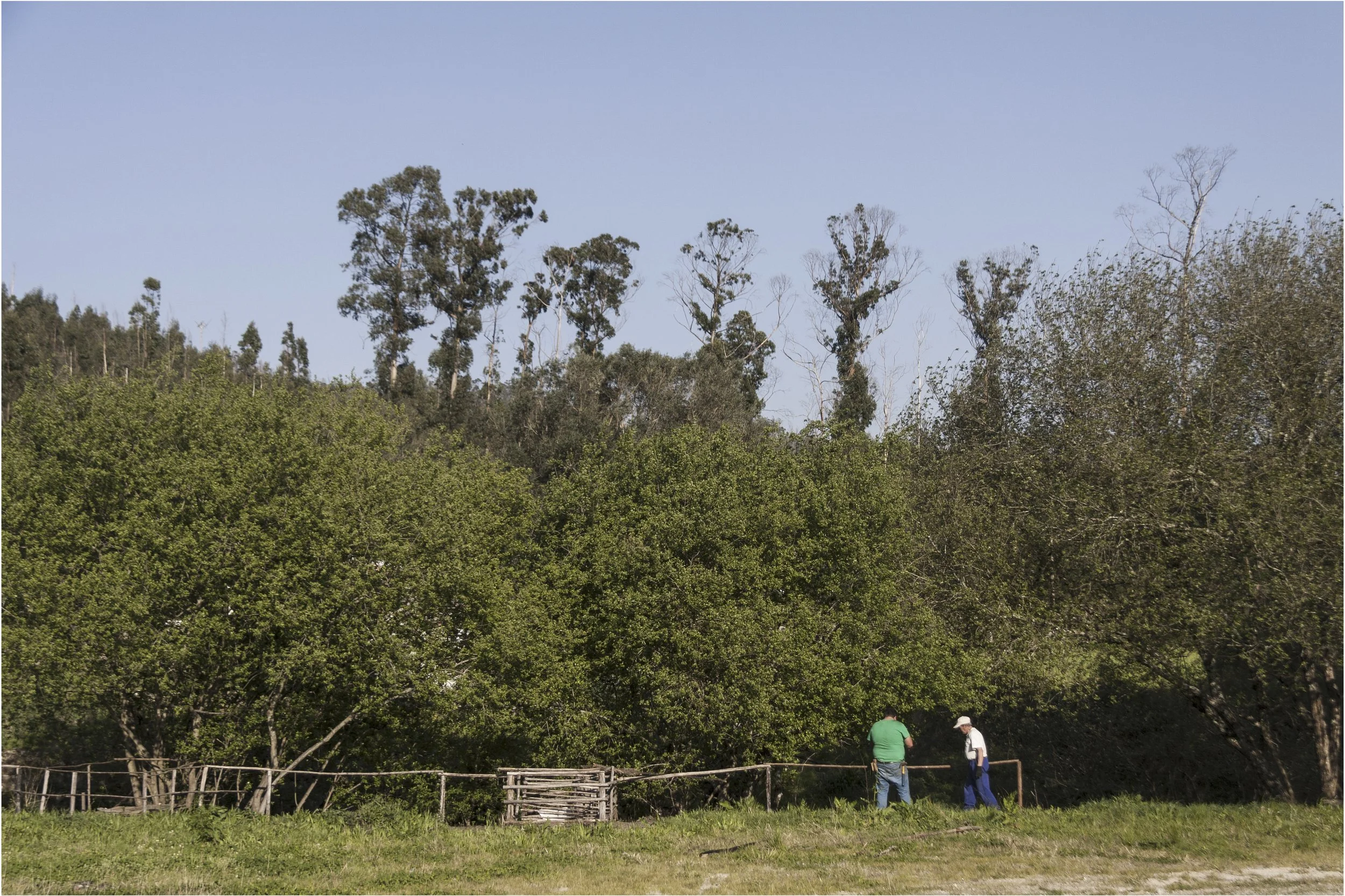 SAO JOAO 5 094 as Smart Object-1.jpg