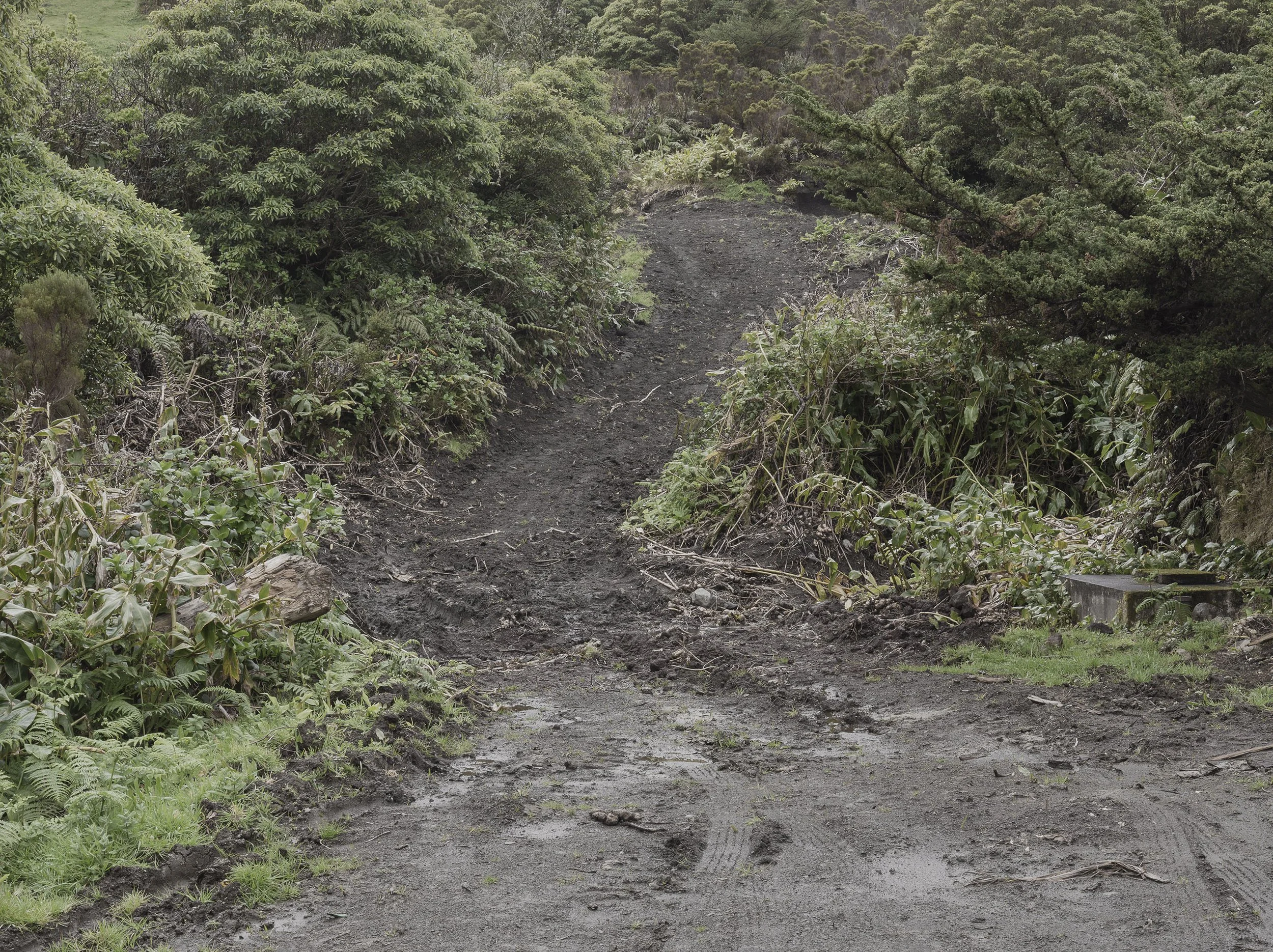 2_arquetipo da forma.jpg