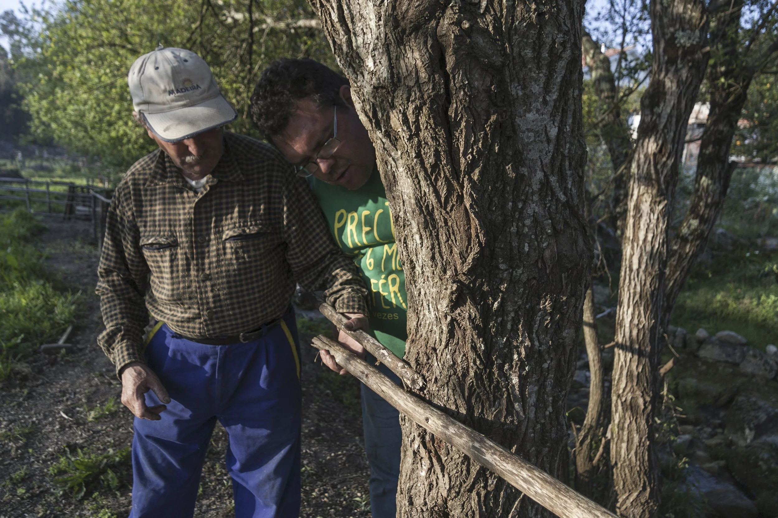 SAO JOAO 6 145 as Smart Object-1.jpg