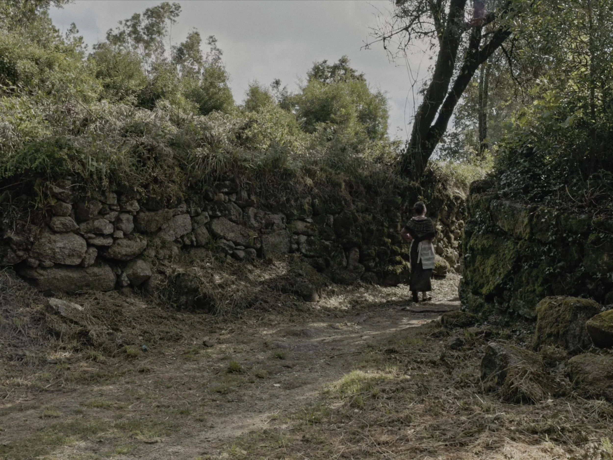 captura de ecrã 2026-02-09, às 17.11.18.jpg