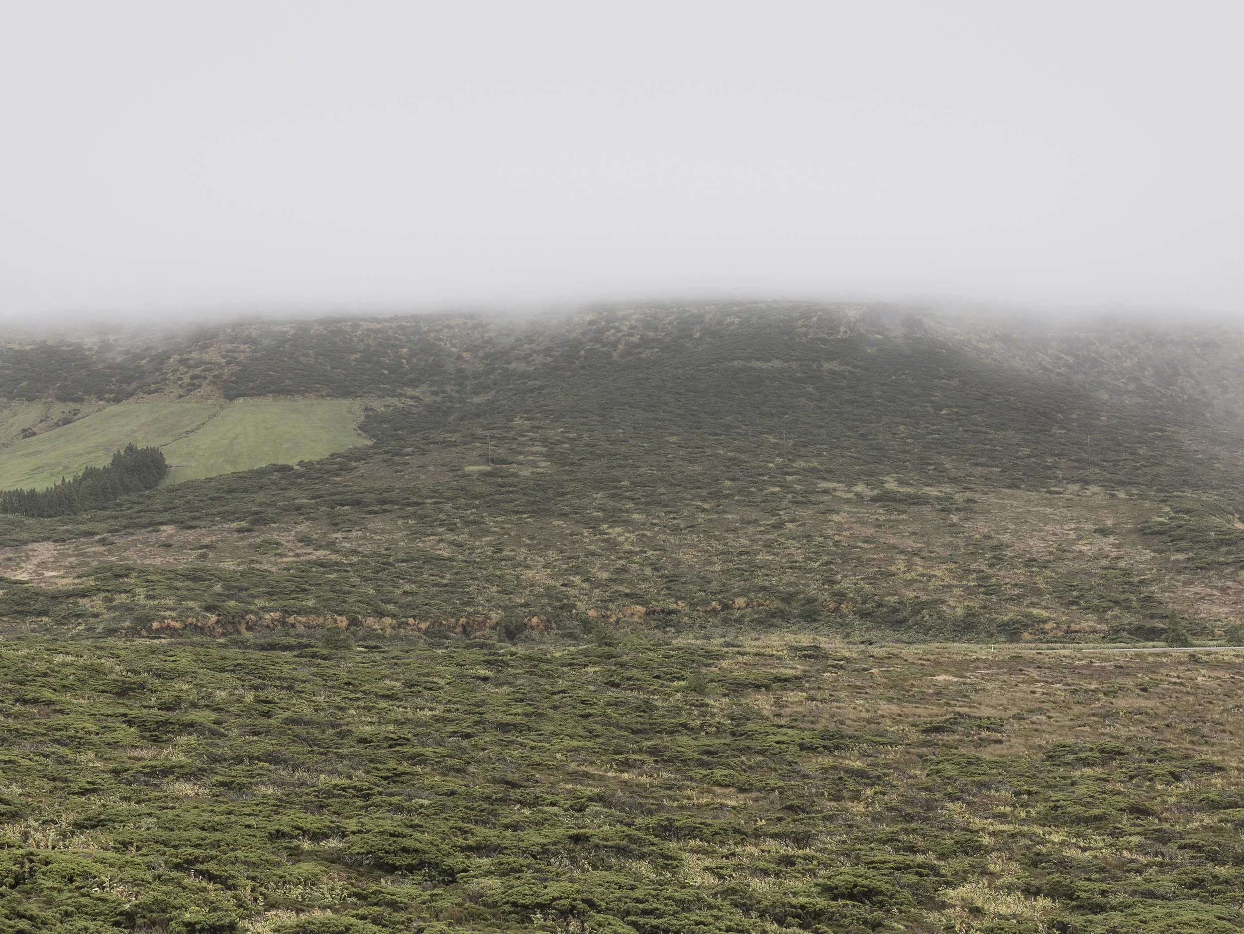 8_arquetipo da forma.jpg