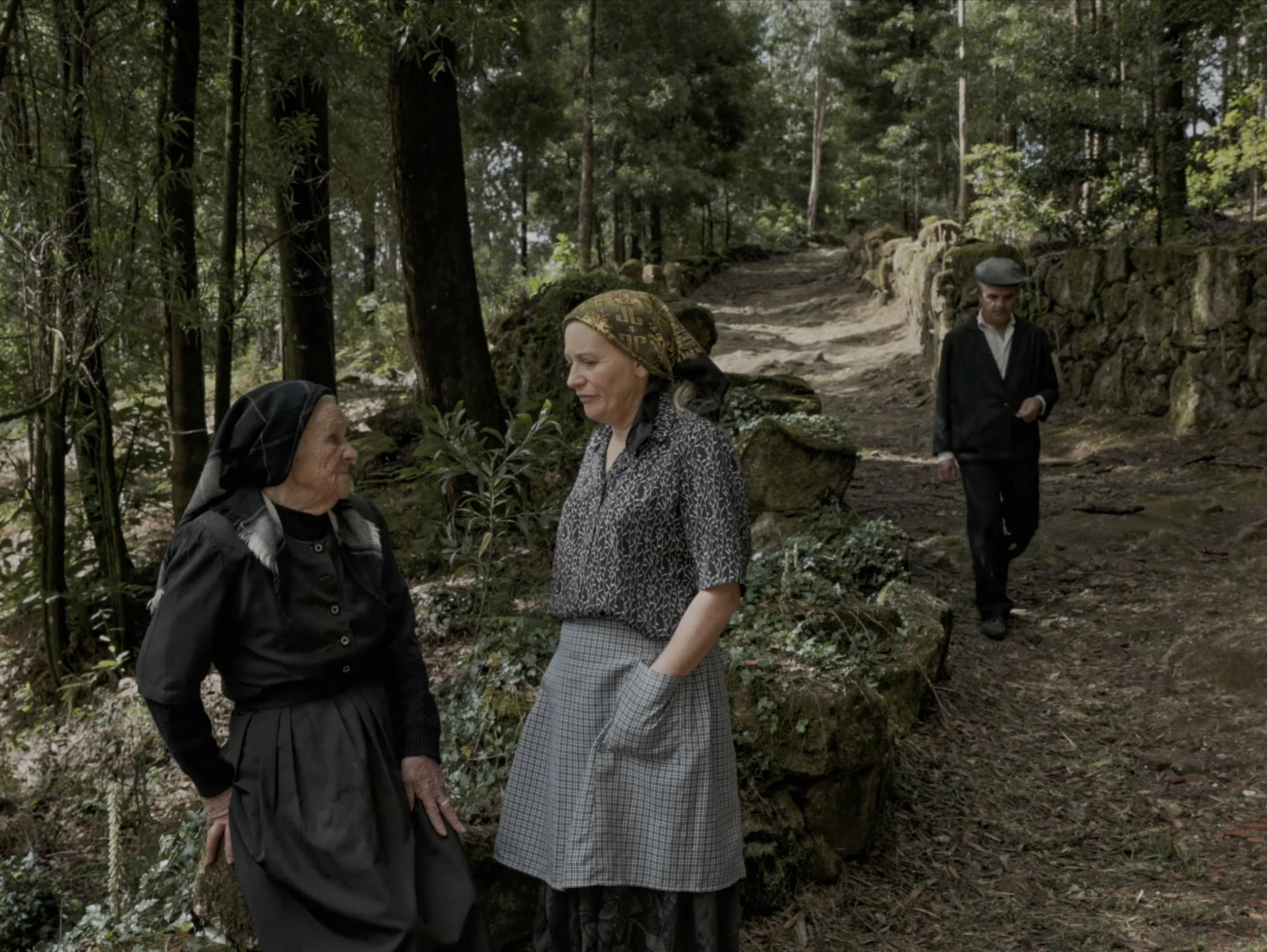 captura de ecrã 2026-02-09, às 17.10.58.jpg