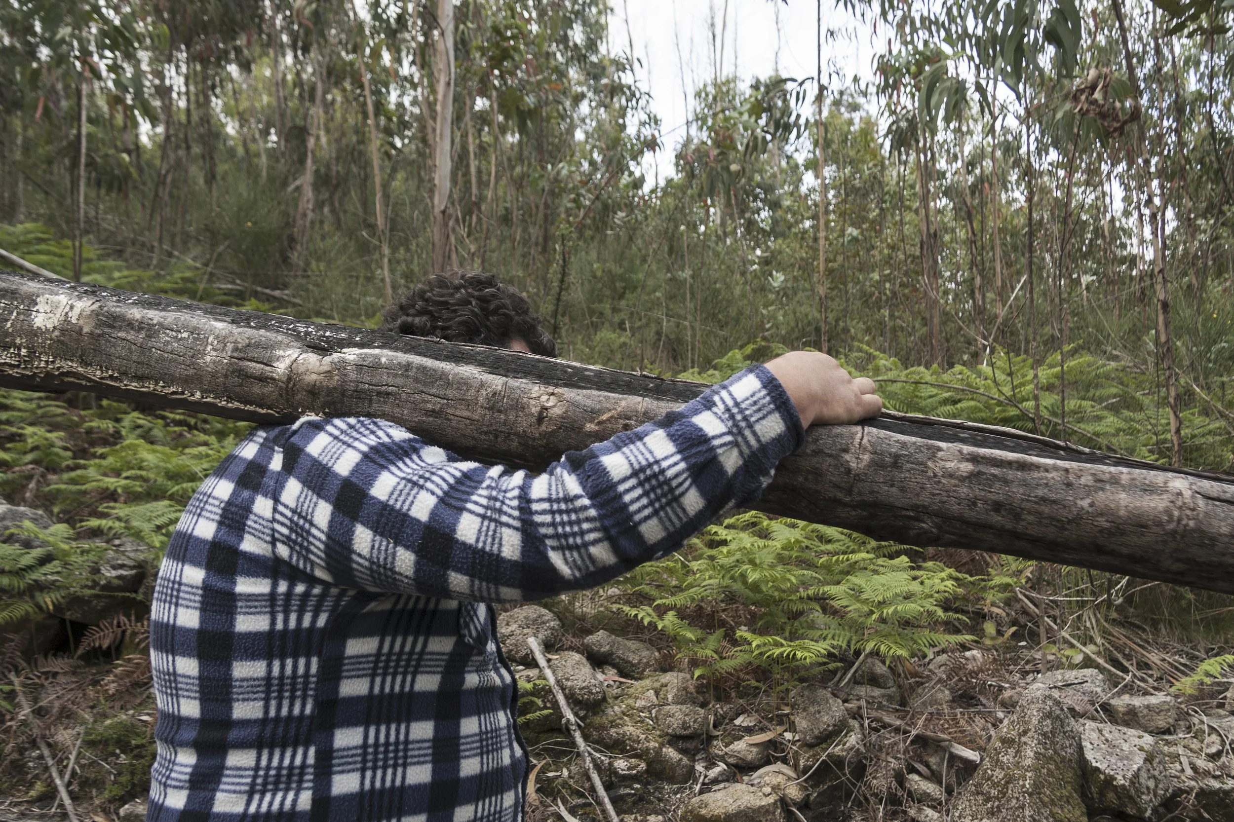 SAO JOAO 17 073 as Smart Object-1.jpg