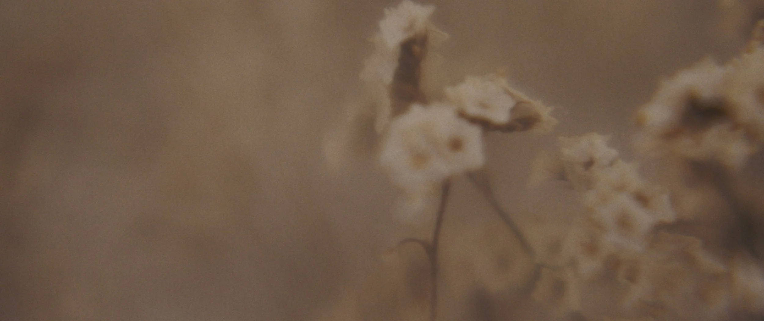 still 2025-04-12 165553_2.13.1.jpg