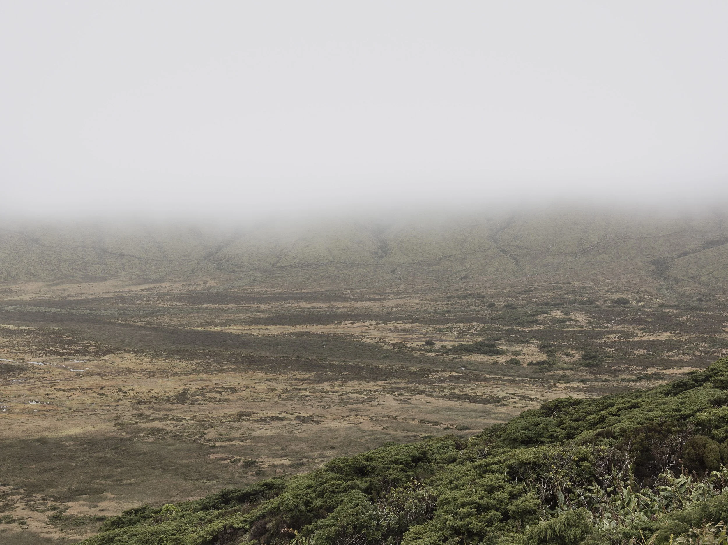 6_arquetipo da forma.jpg