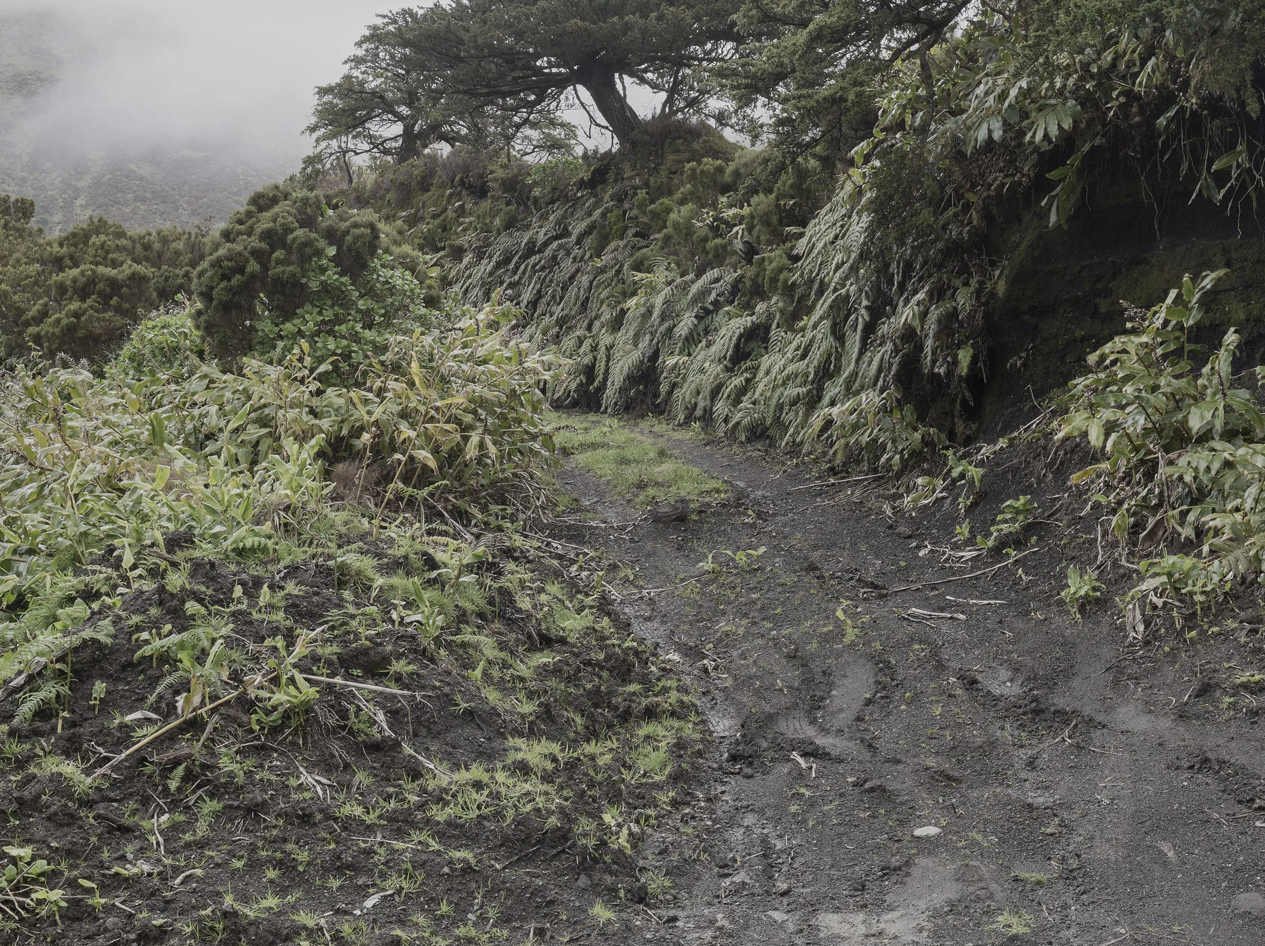 1_arquetipo da forma.jpg