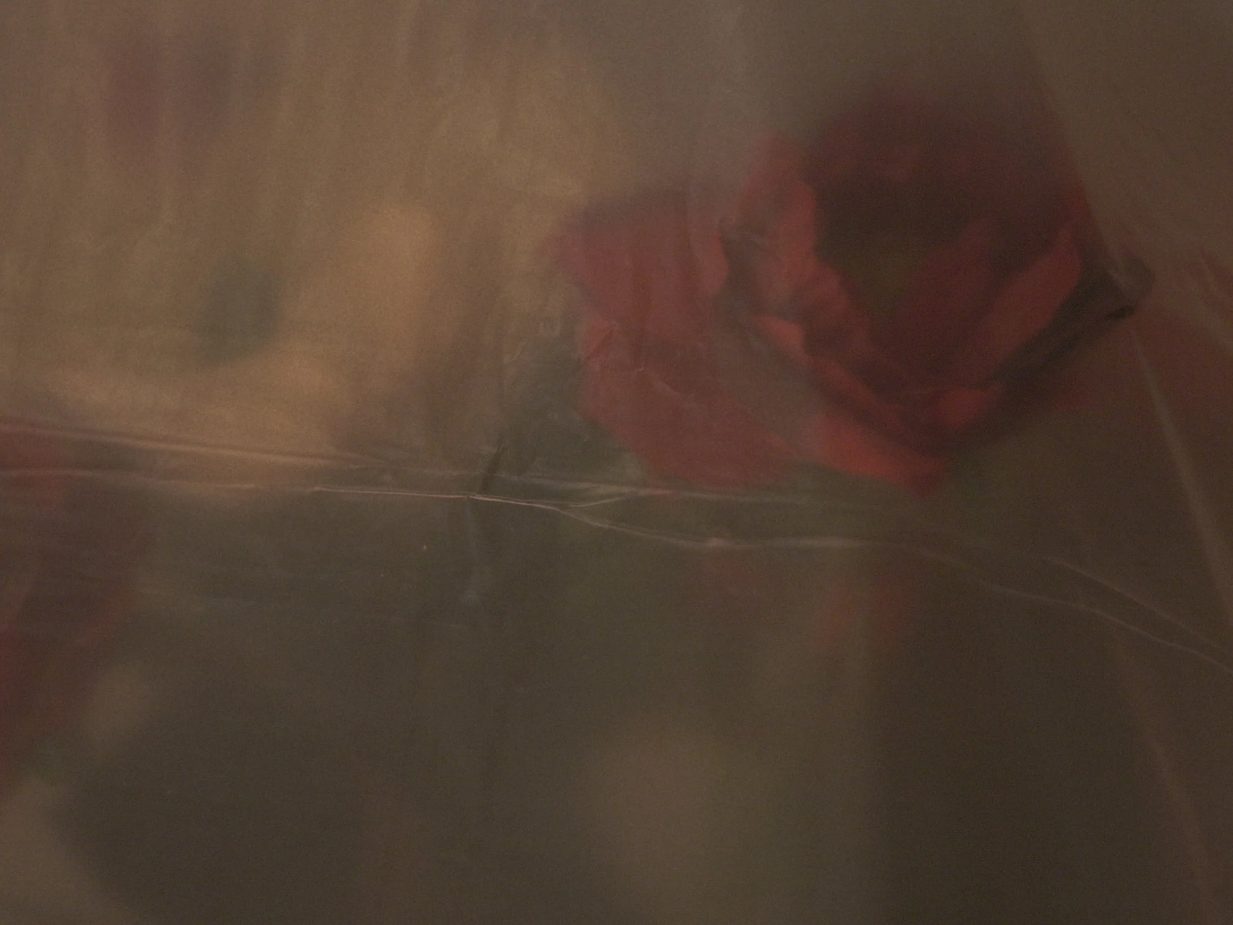 still 2025-12-22 180637_1.23.1.jpg