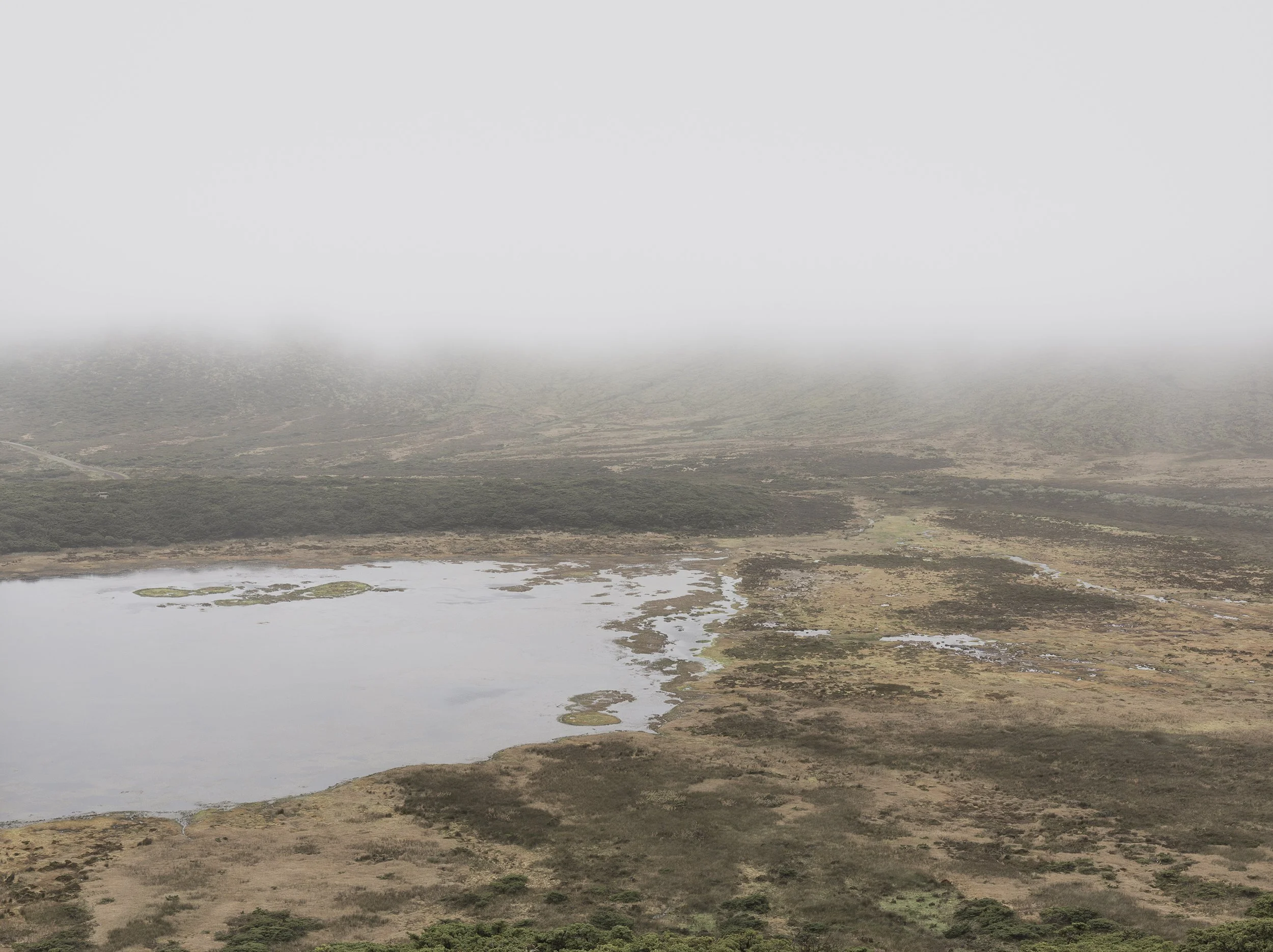 5_arquetipo da forma.jpg