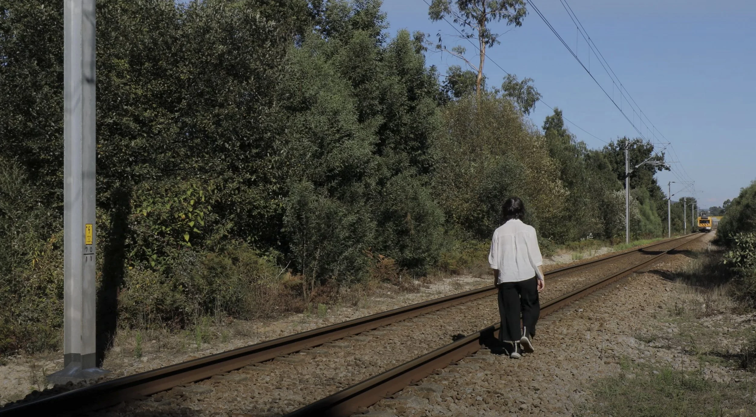 captura de ecrã 2023-04-25, às 15.47.19.jpg