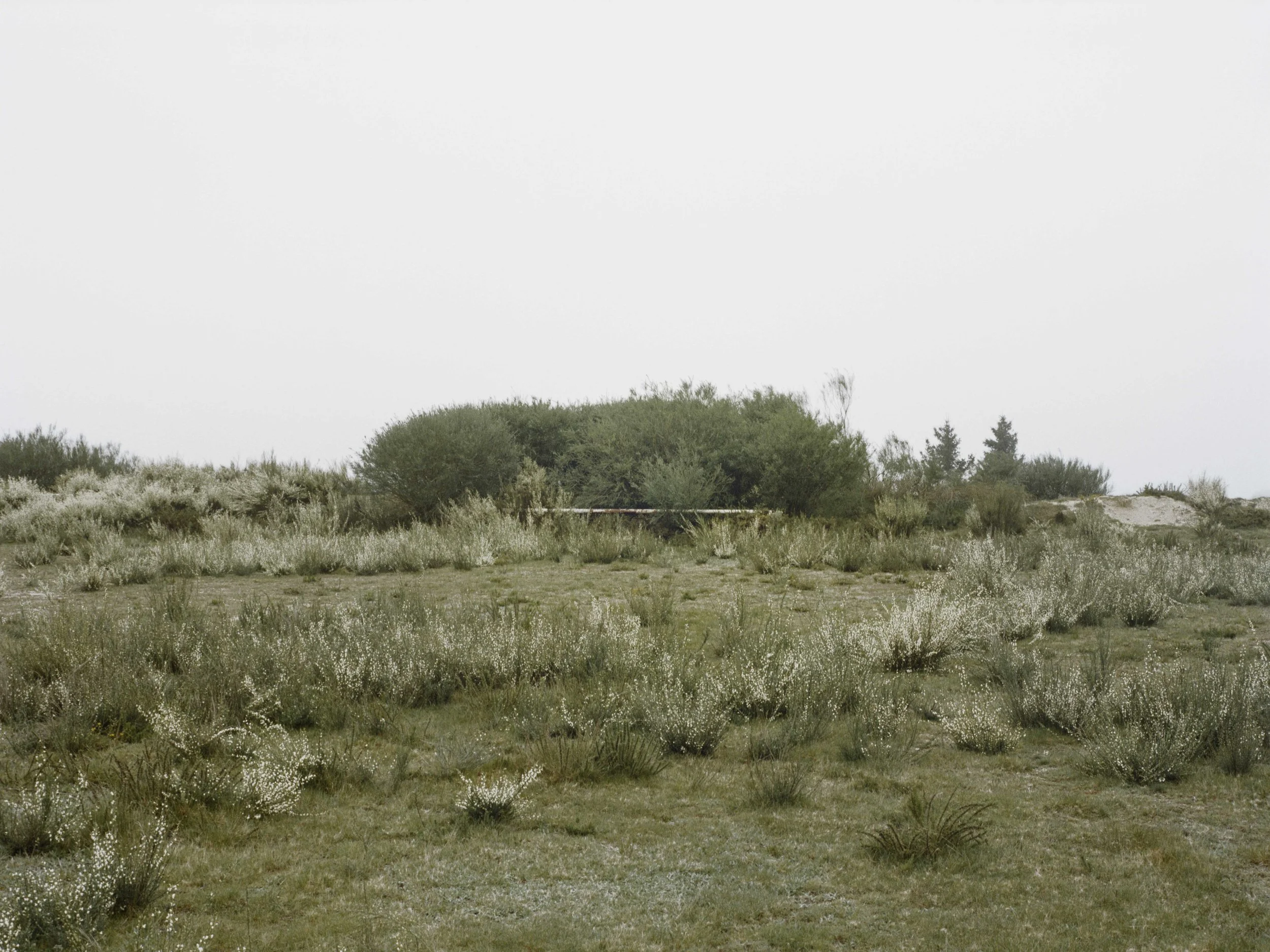 um lugar que se desenha - 2015