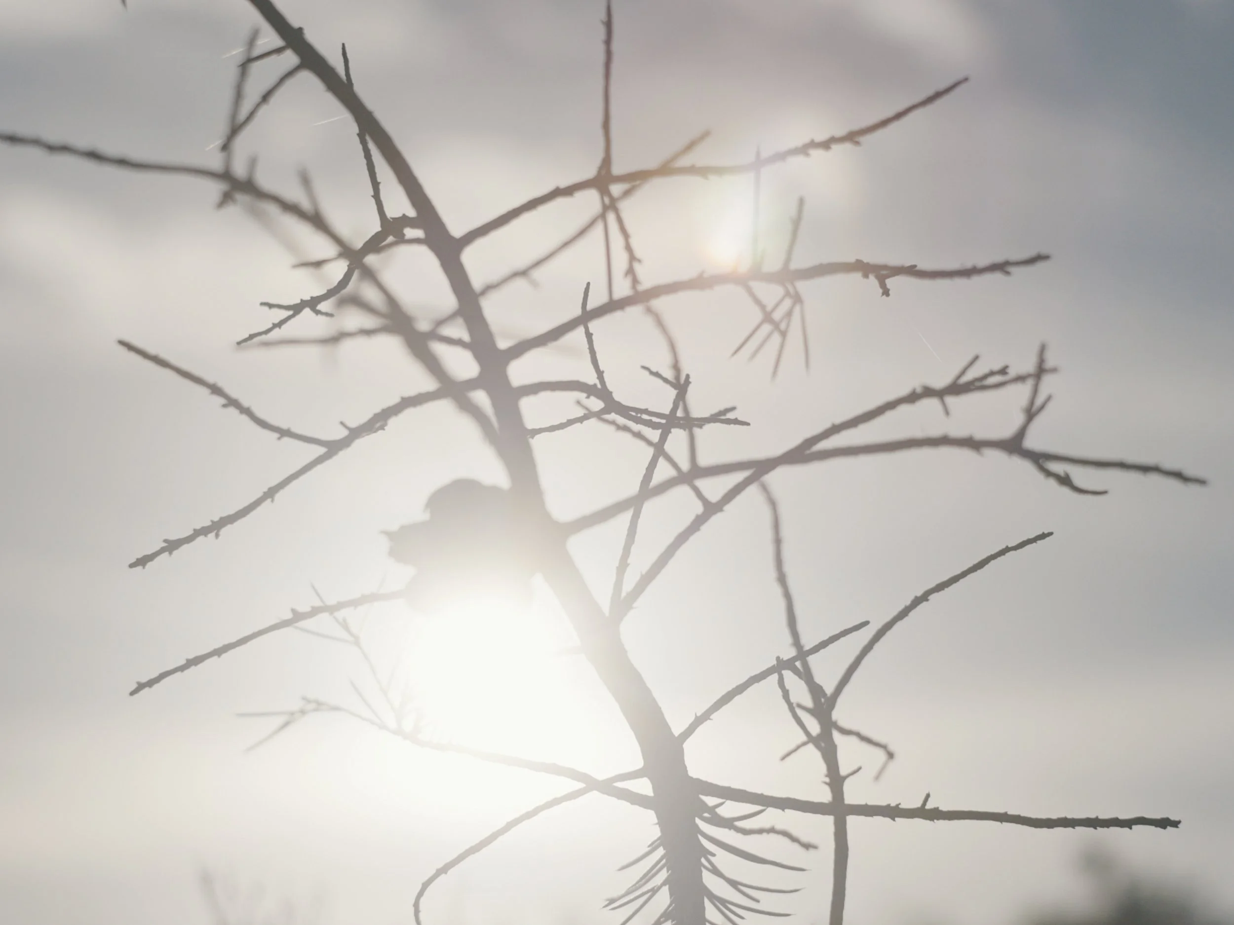 still 2025-11-09 164538_1.62.1.jpg