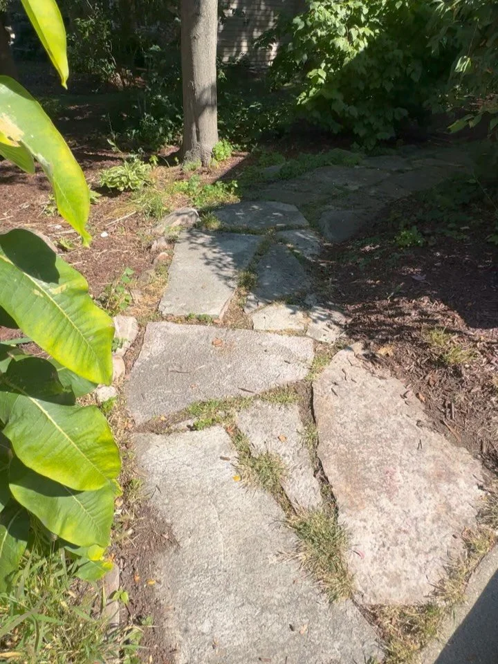 Check out this transformation we did on this flagstone walkway 🔥🔥🔥