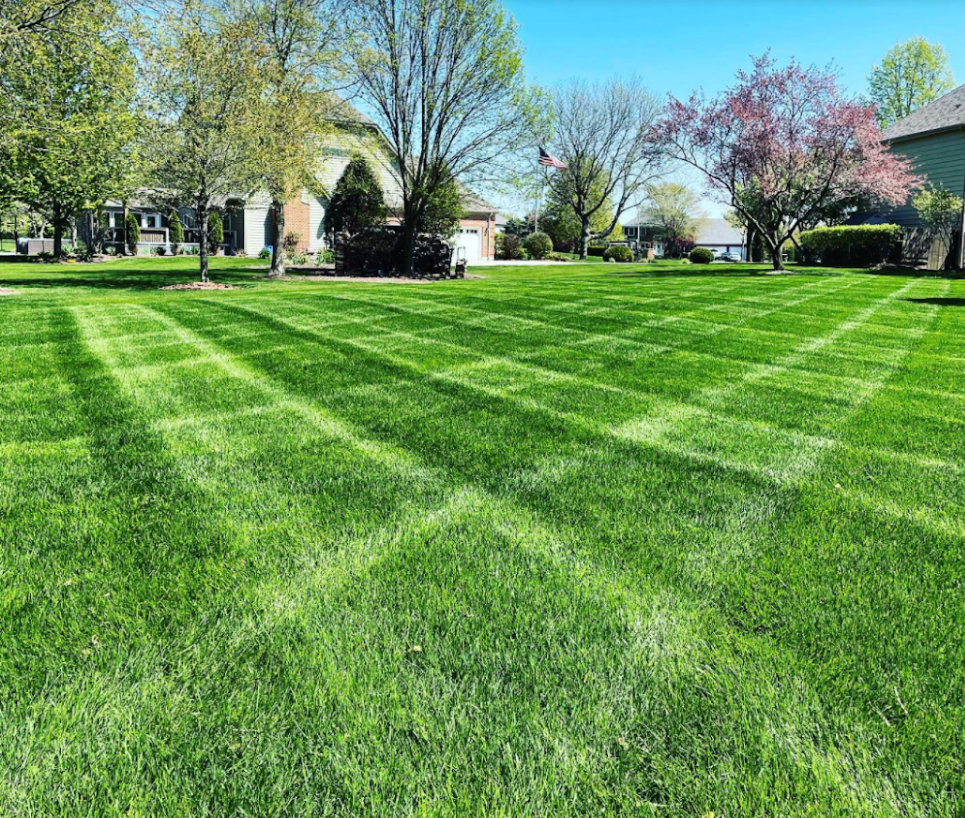 Screenshot 2026-01-20 163857.png