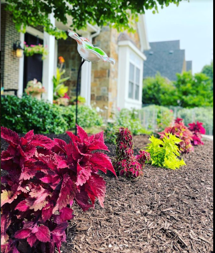 Screenshot 2026-01-20 163741.png