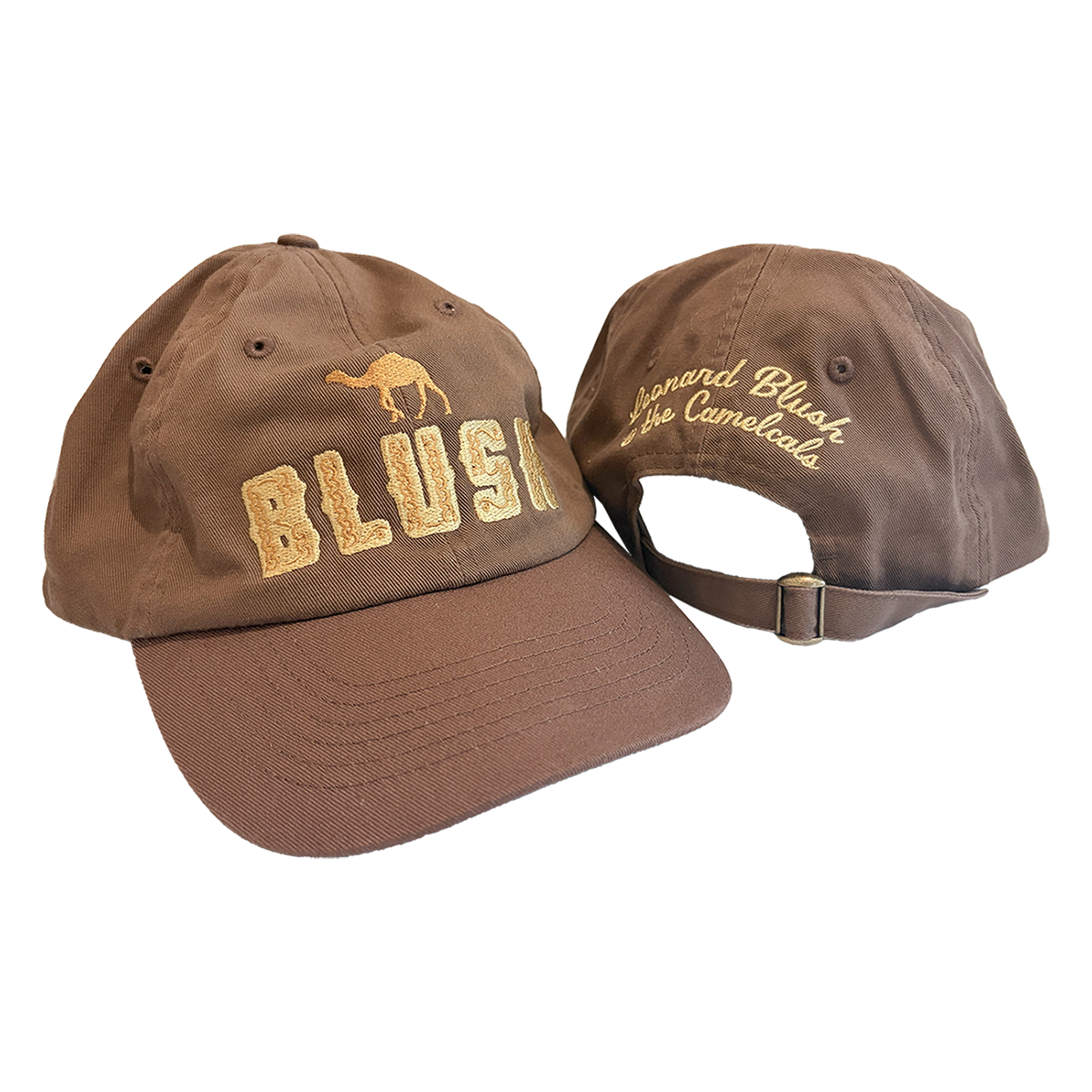 Brown Embroidered Dad Hat