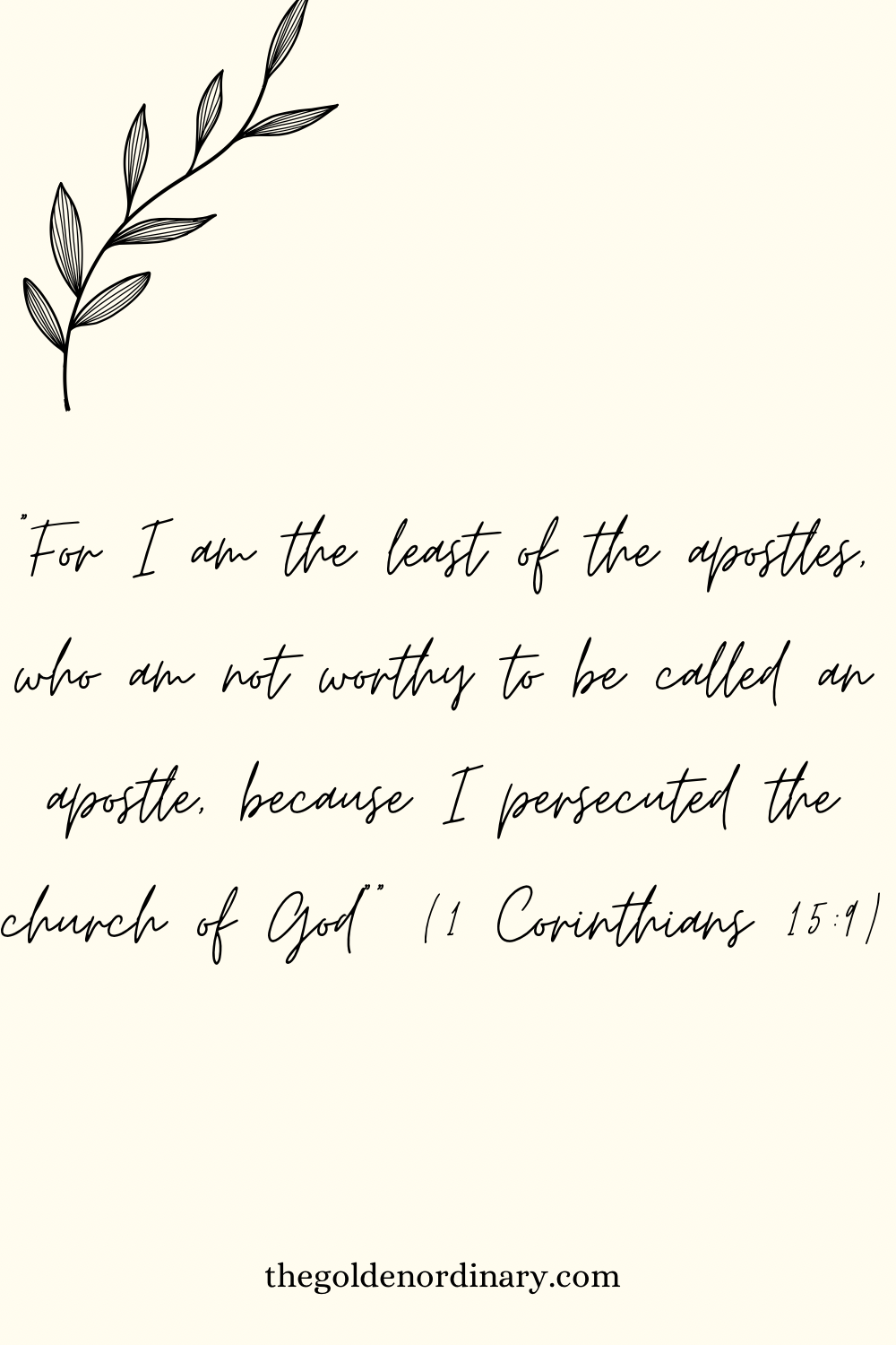 A Moment of Reflection Amidst the Chaos