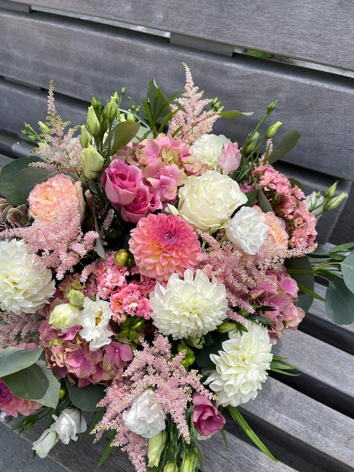 WhatsApp Image 2026-01-20 at 13.32.27.jpeg