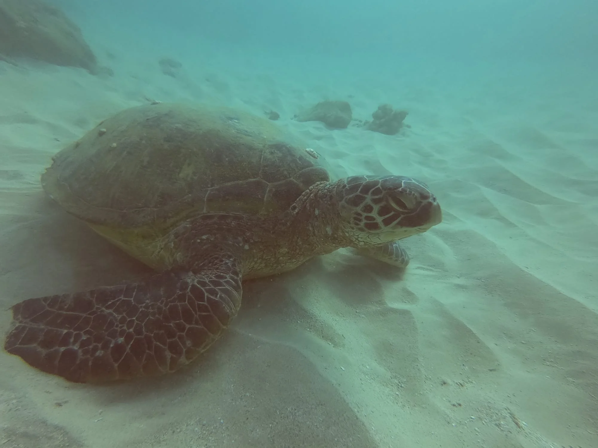 WhatsApp Image 2026-01-20 at 13.31.16.jpeg