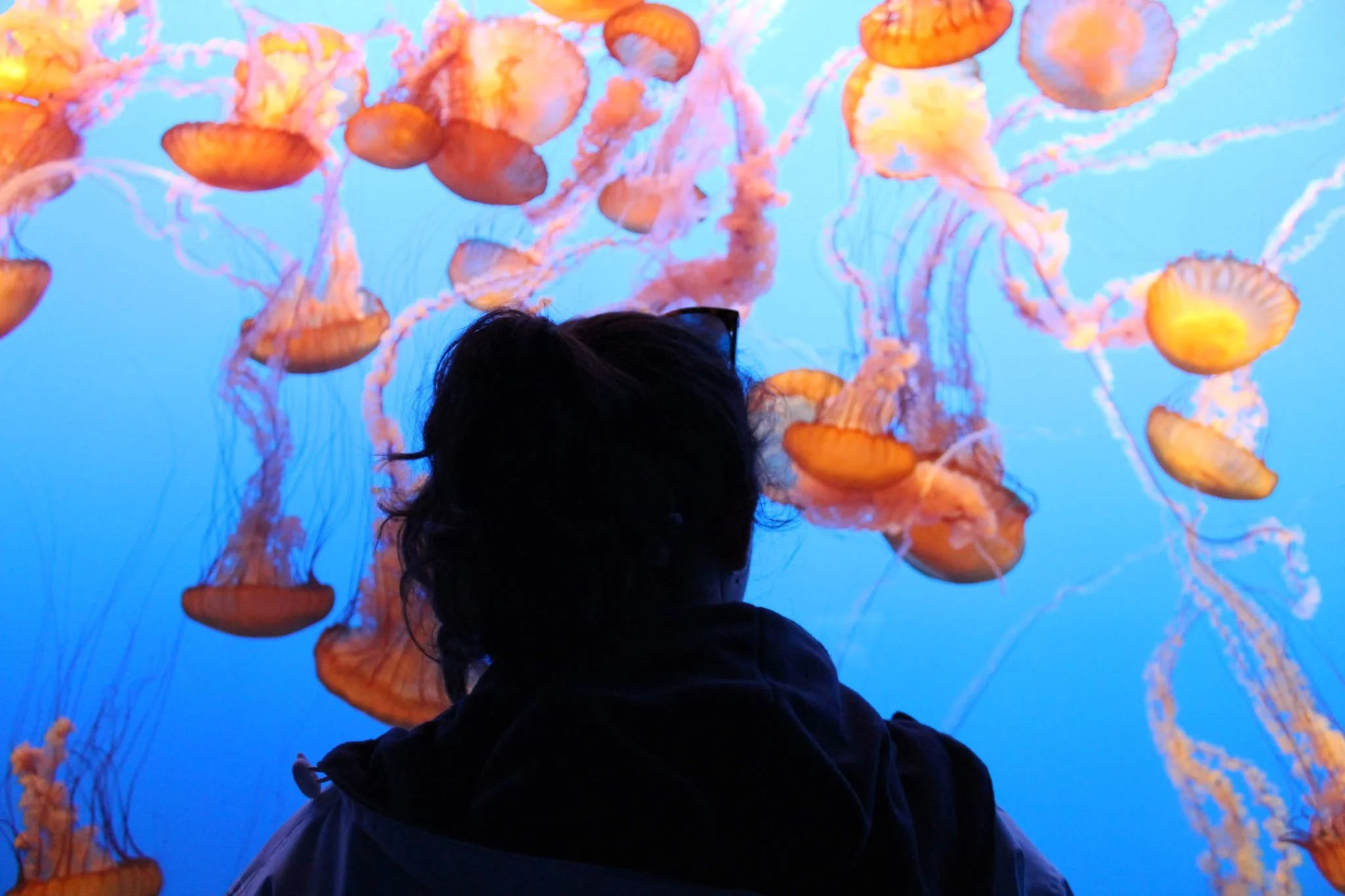 WhatsApp Image 2026-01-20 at 13.28.48.jpeg