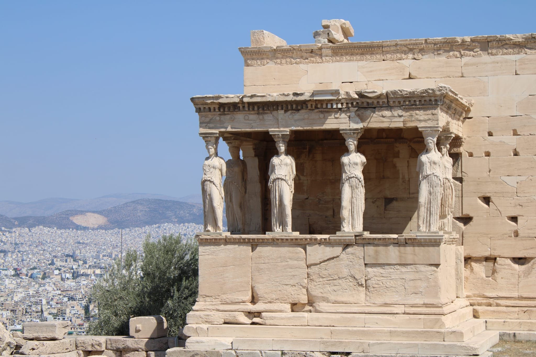 WhatsApp Image 2026-01-20 at 13.29.19.jpeg