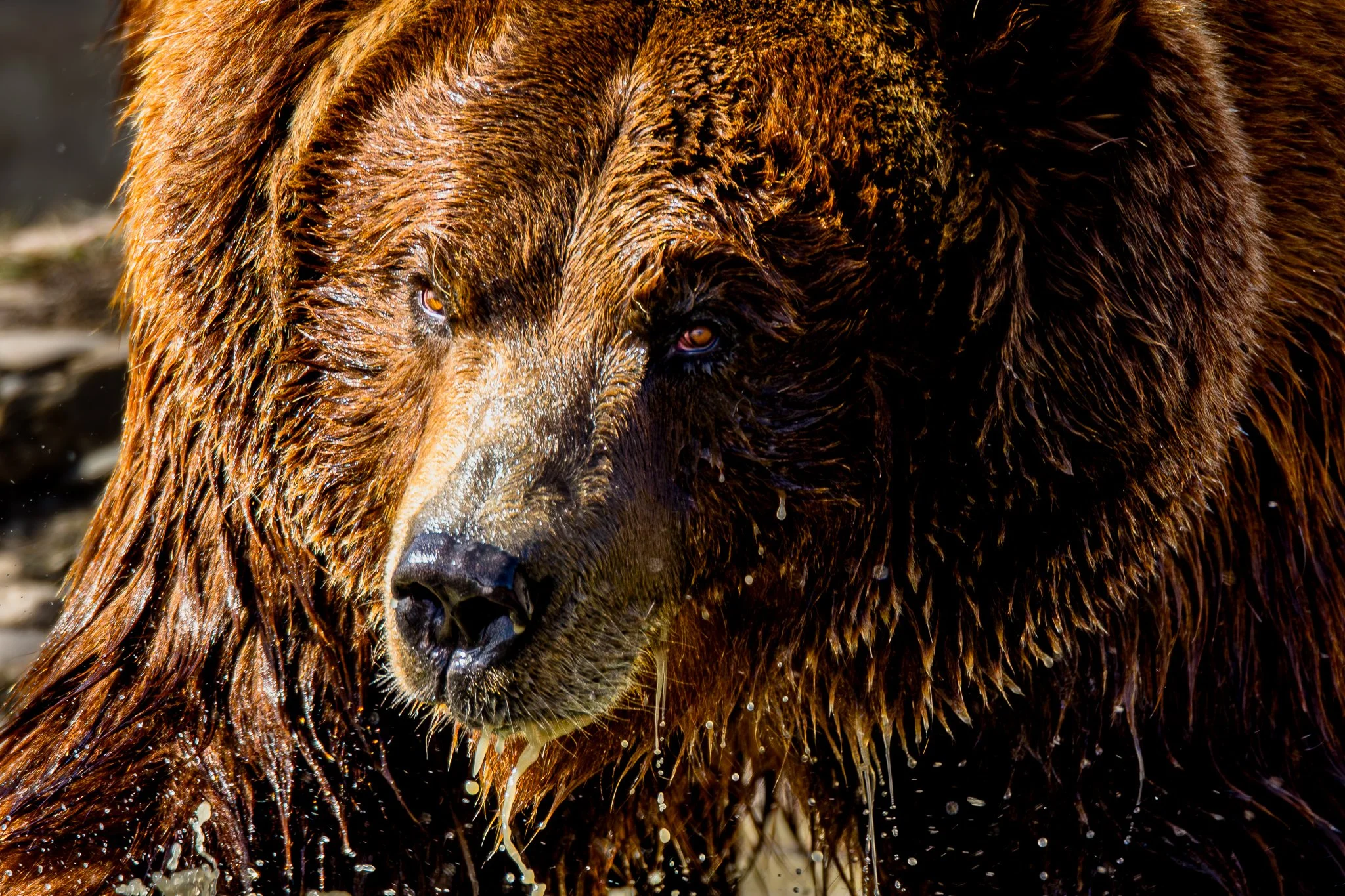 BPitmanPhotoSM-154 - Copy.jpg