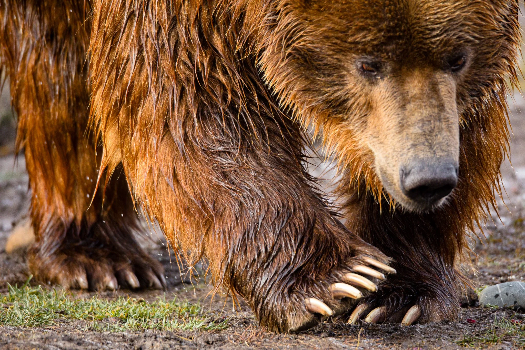 BPitmanPhotoSM-195 - Copy.jpg