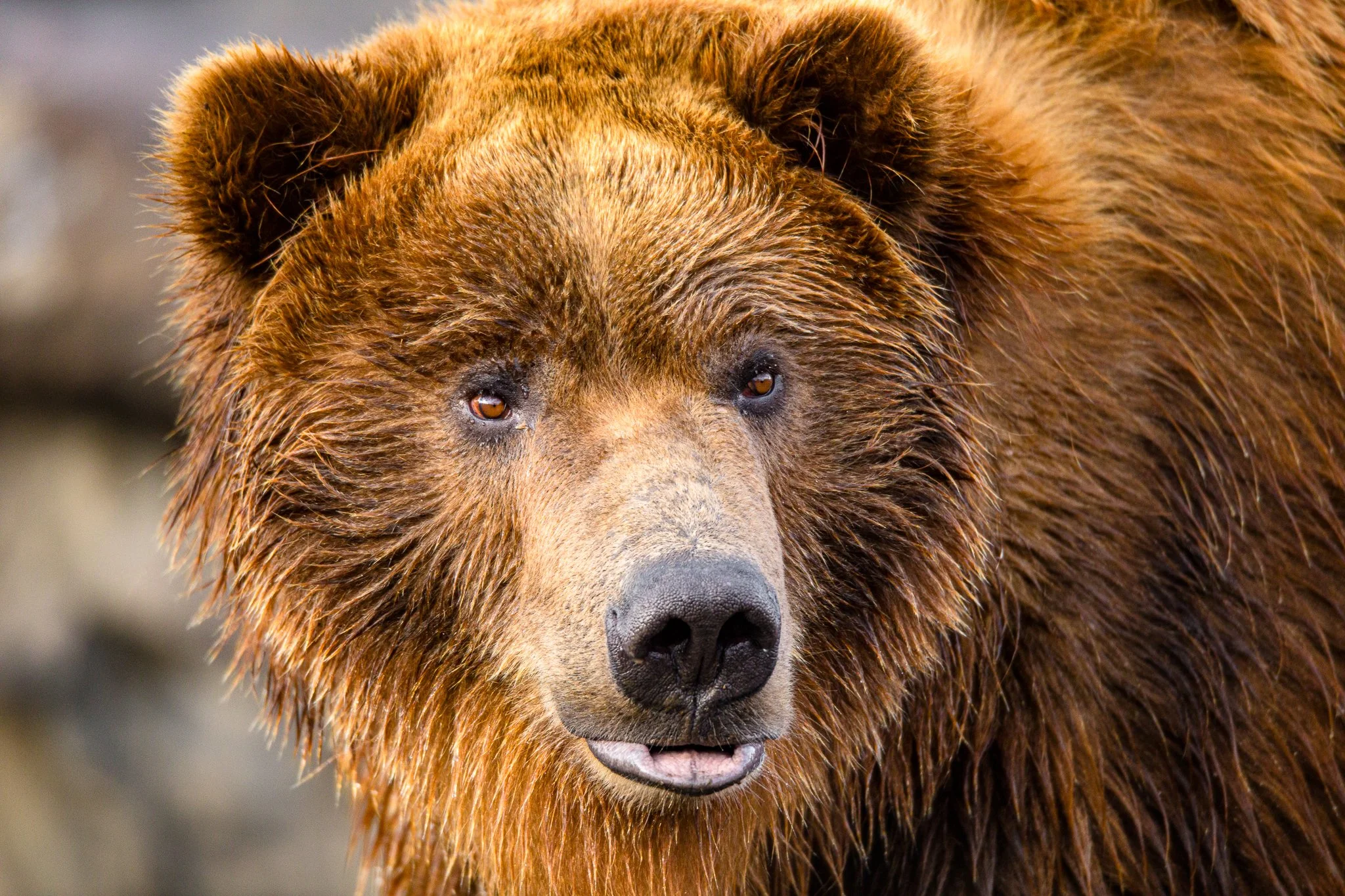 BPitmanPhotoSM-196 - Copy.jpg