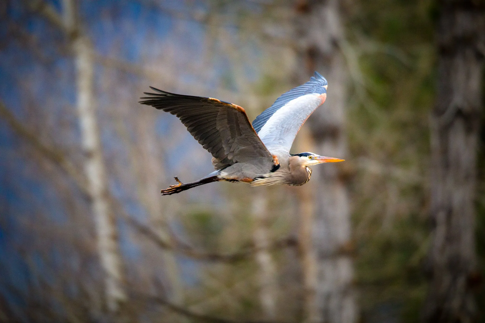 BPitmanPhotoSM-136 - Copy.jpg