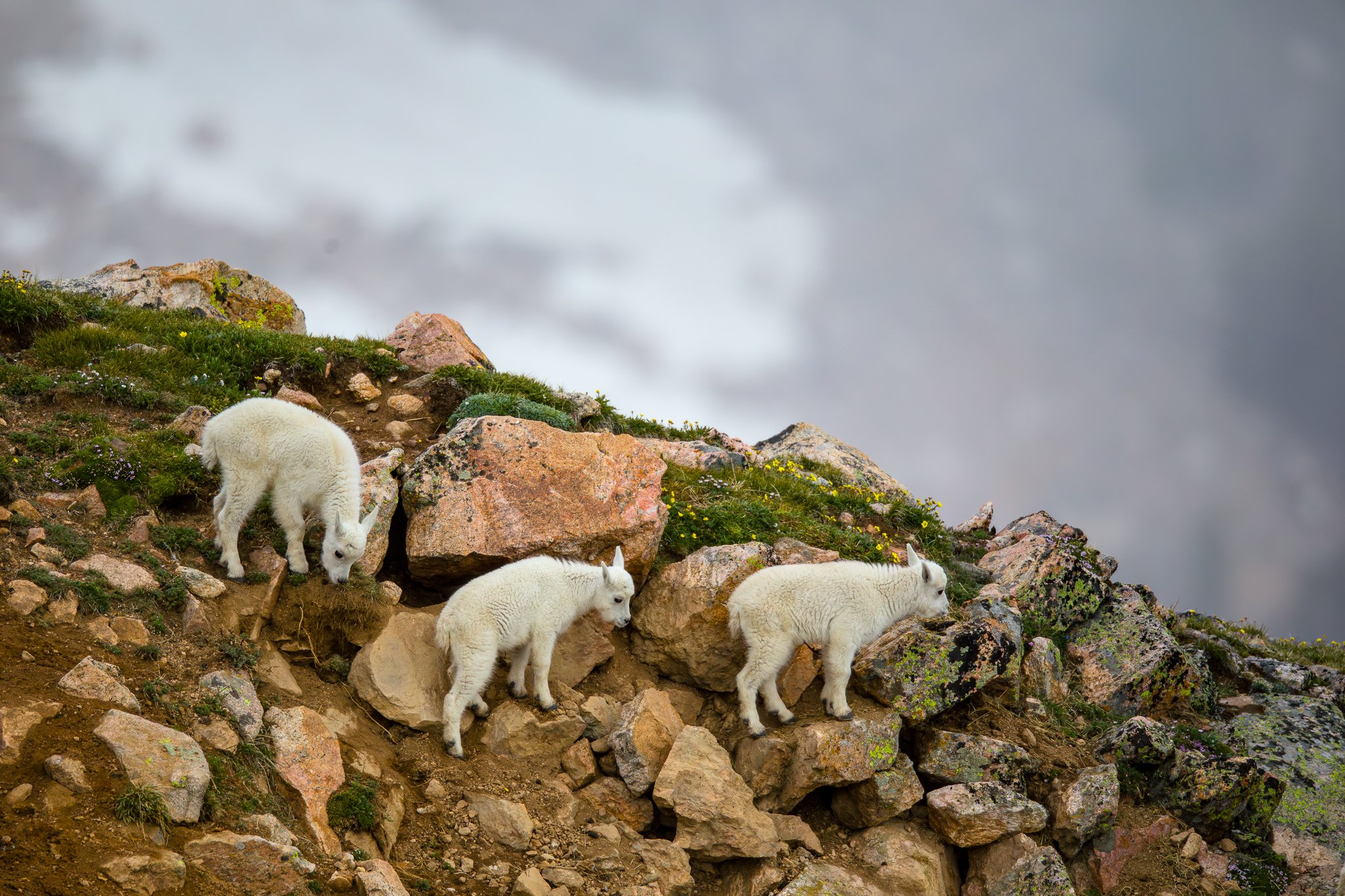 BPitmanPhotoSM-174 - Copy.jpg