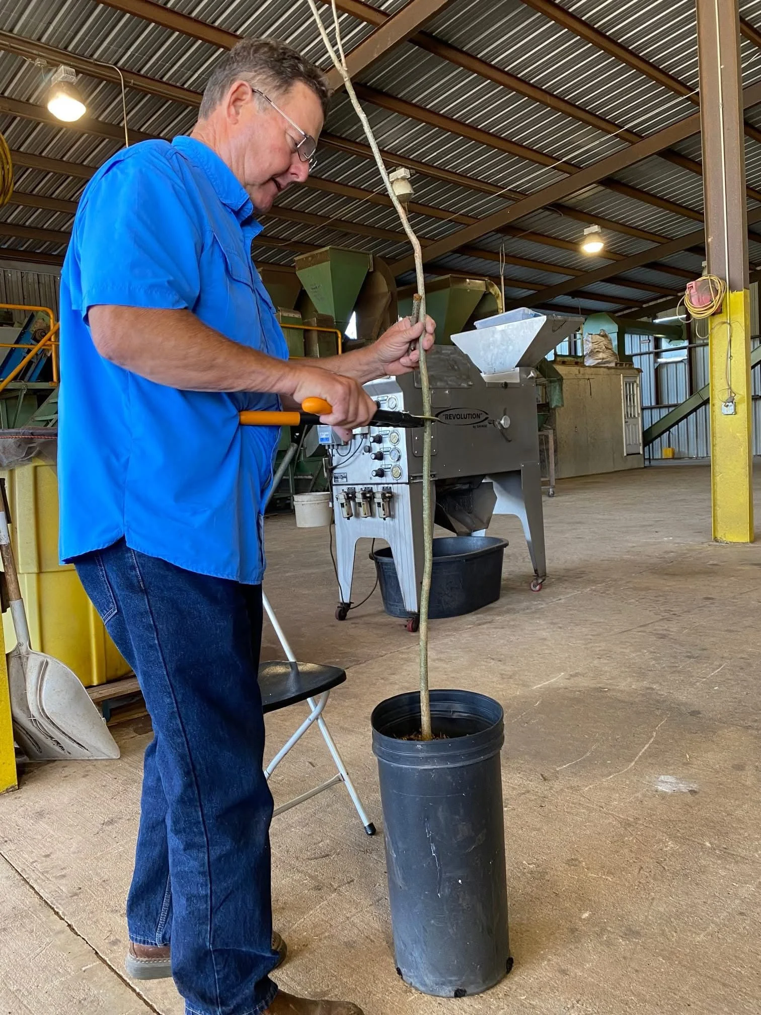Grafting demonstration