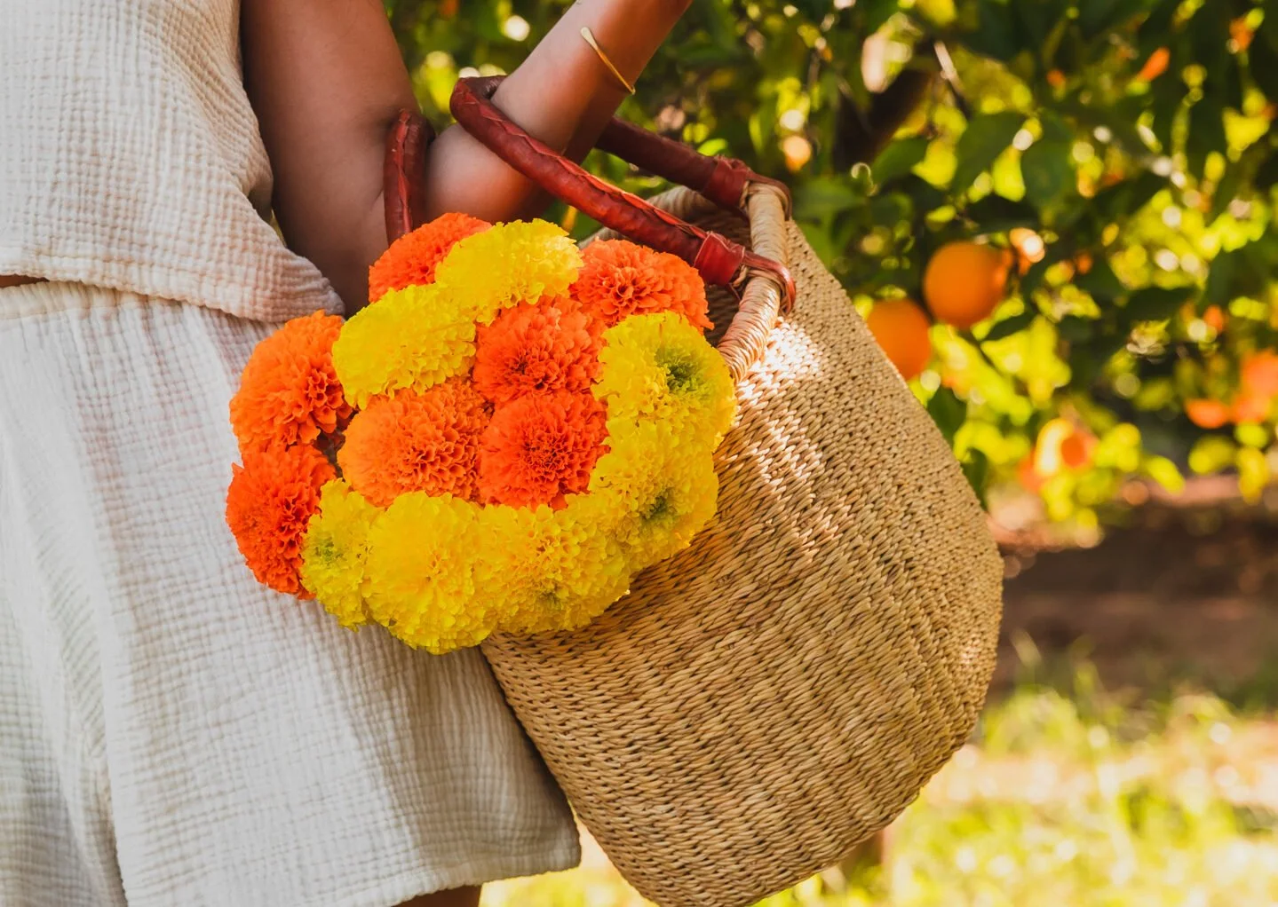 Person holding a woven basket with orange and yellow marigold flowers, with orange trees bearing fruit in the background.