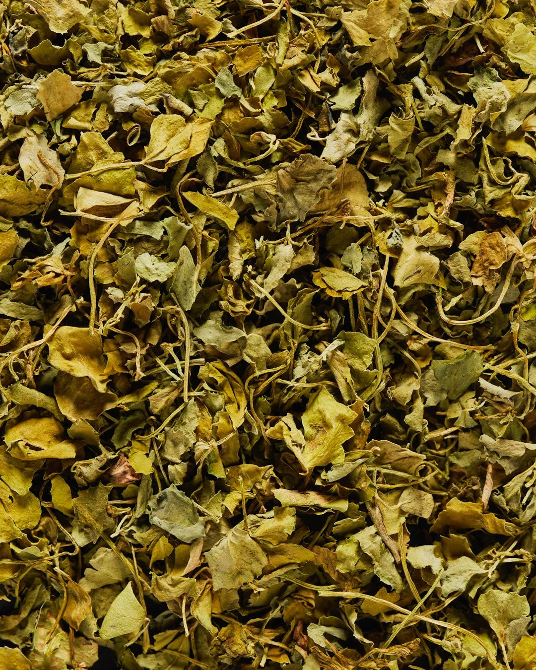 Dried green and yellow herbs or leaves with stems.