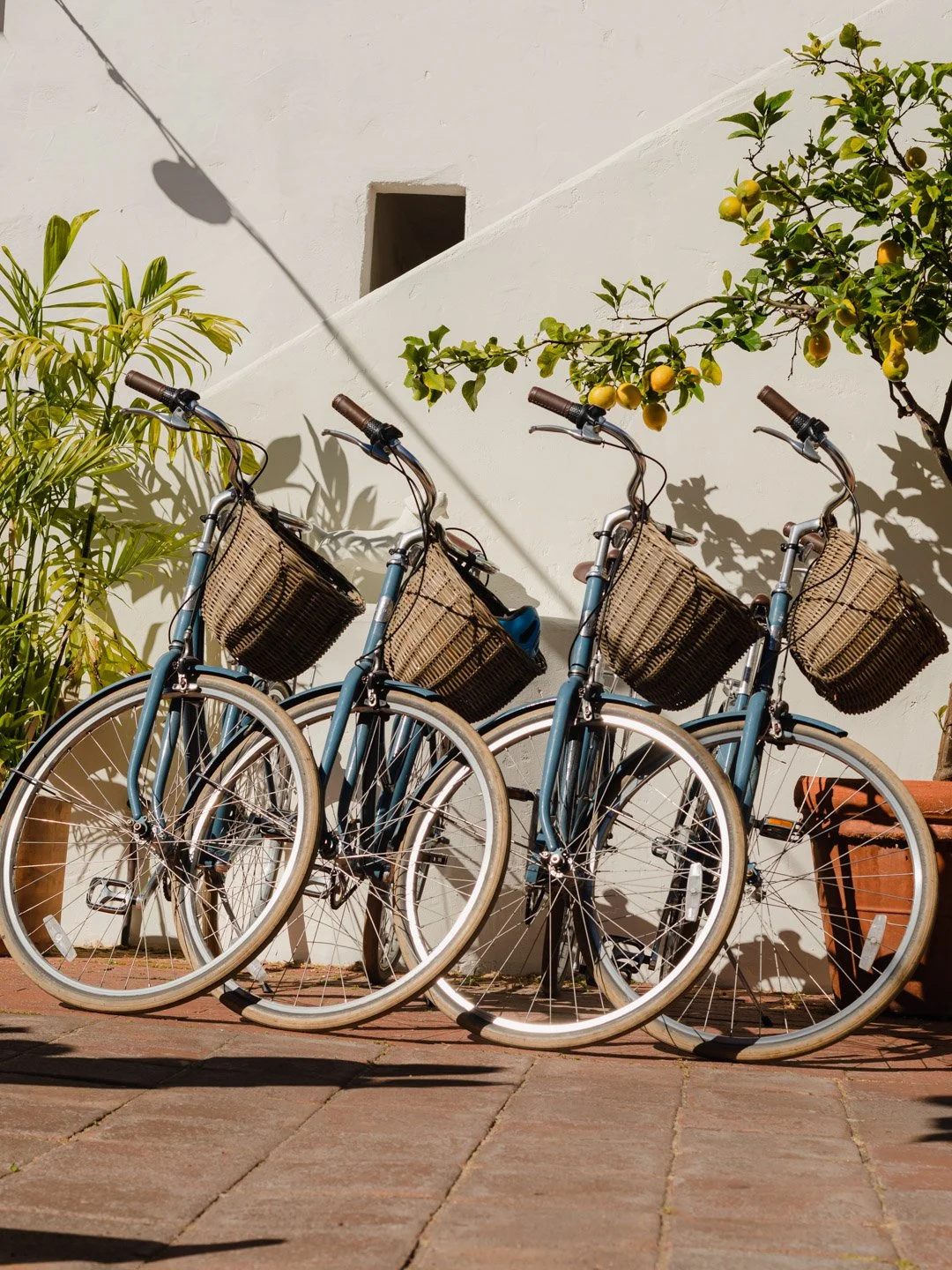 Three blue bicycles with wicker baskets parked against a white wall, with shadow and greenery, including a lemon tree to the right.