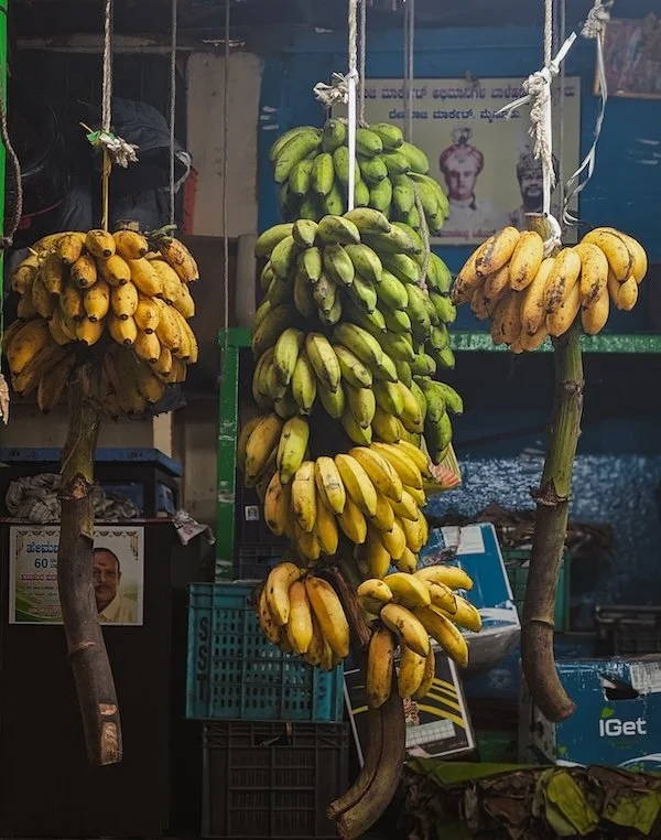 Stacks of bananas hanging from ropes in a market setting.