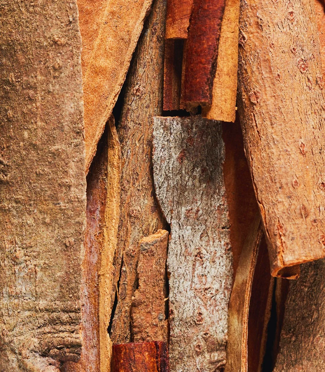 Close-up of stacked, weathered tree bark pieces with various textures and shades of brown and gray.