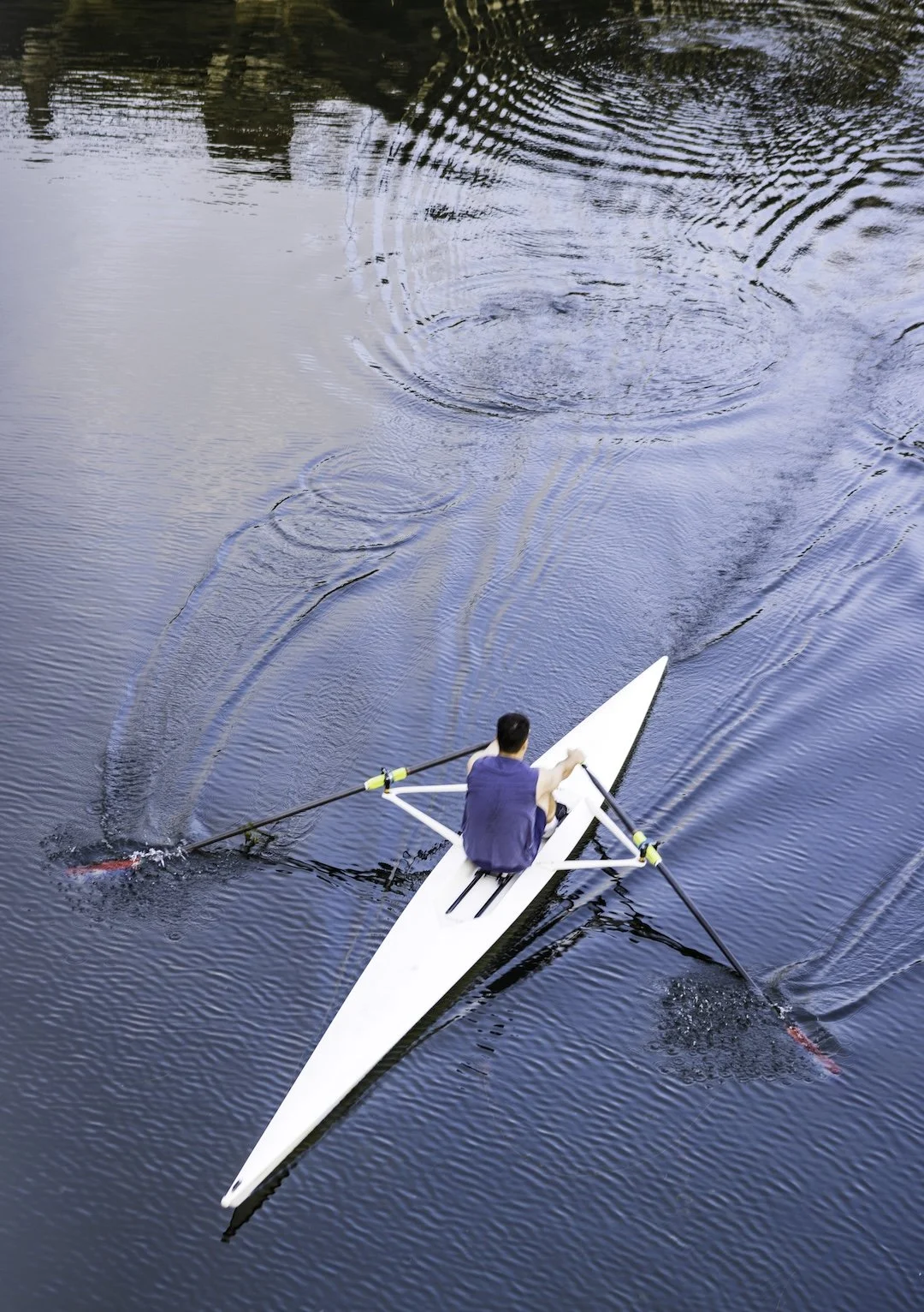 A person in a rowing shell on a calm body of water, viewed from above.