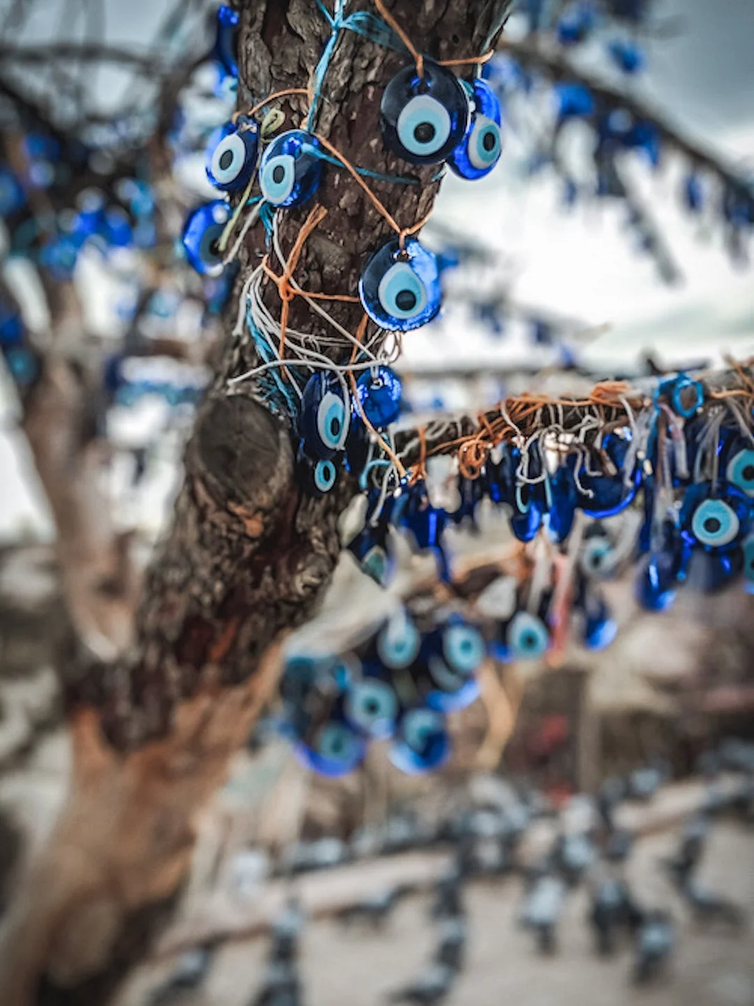 Close-up of a tree with numerous blue eye-shaped charms hanging from it, representing a tradition or ritual.