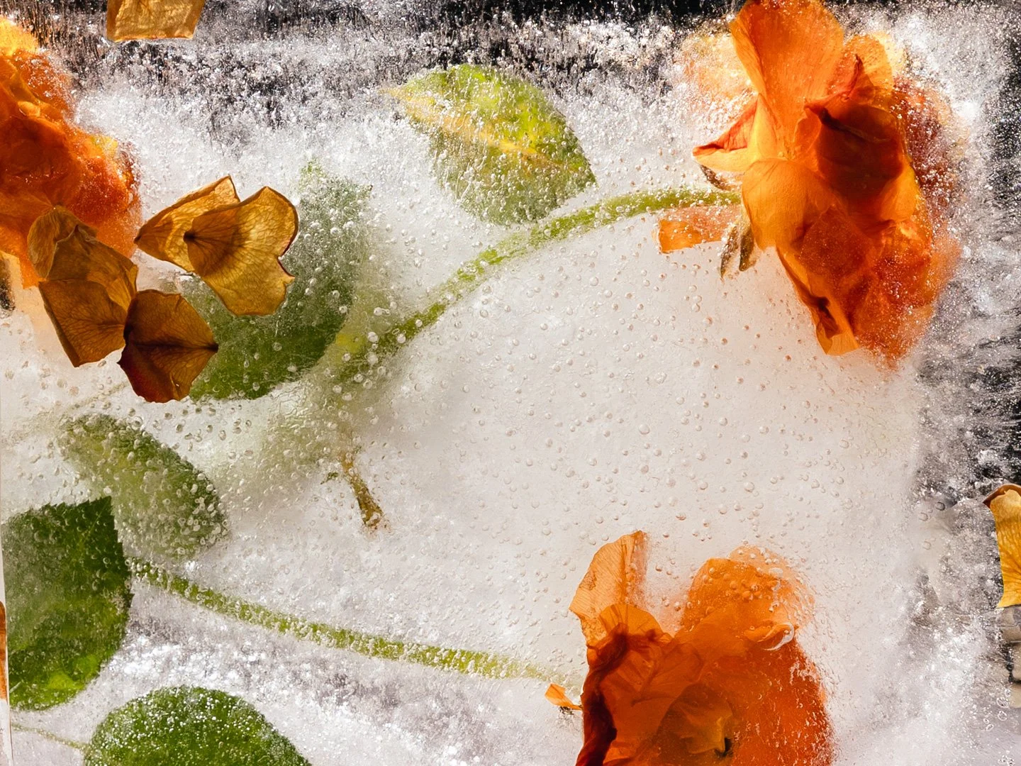 Yellow and orange flowers submerged in bubbly water with green leaves and stems.
