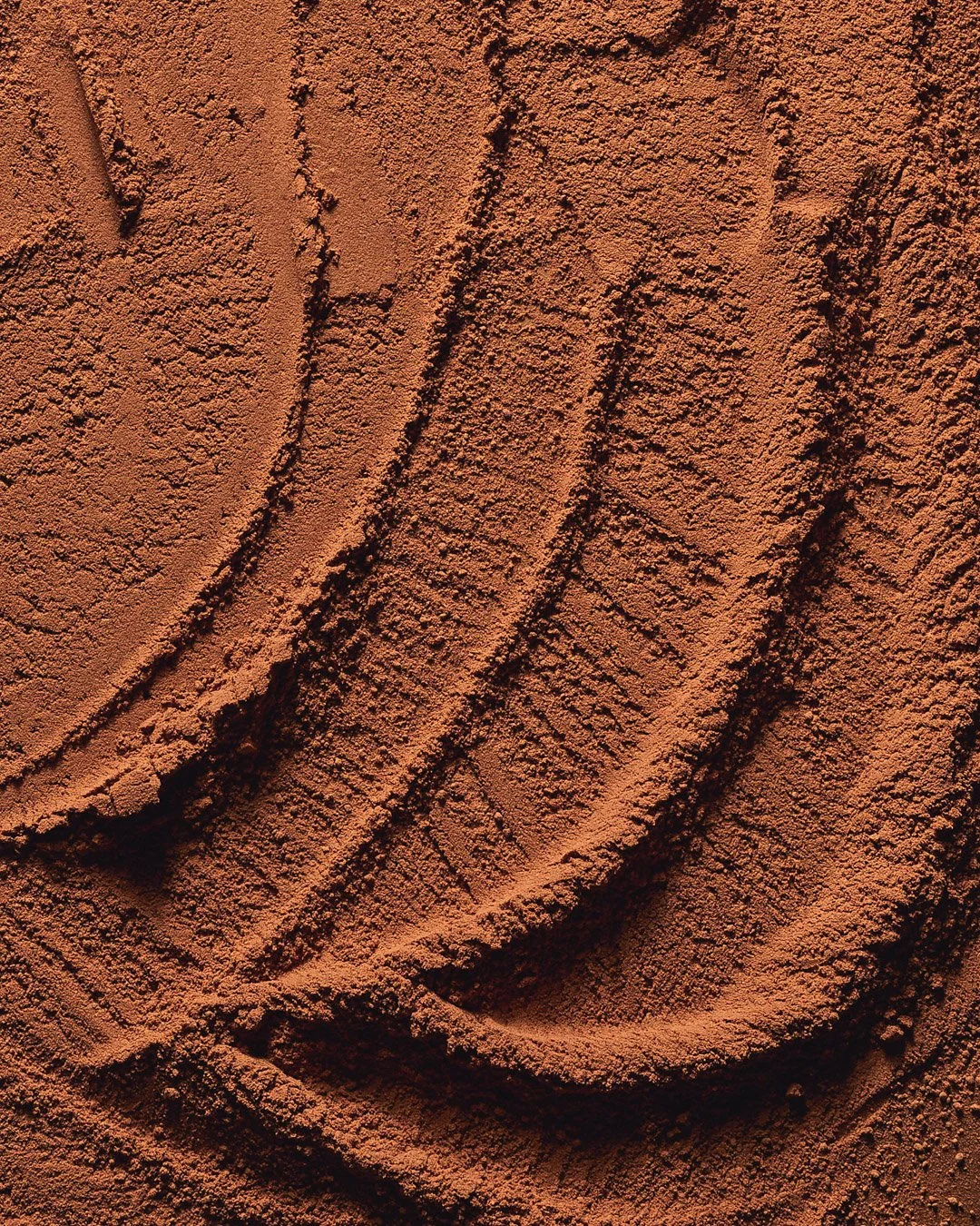 Close-up of reddish-brown ground with visible tire tracks.