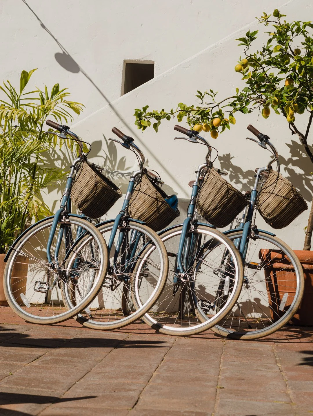 Three vintage blue bicycles with baskets are parked against a white wall, with a lemon tree on the right and greenery on the left, on a brick-paved ground.