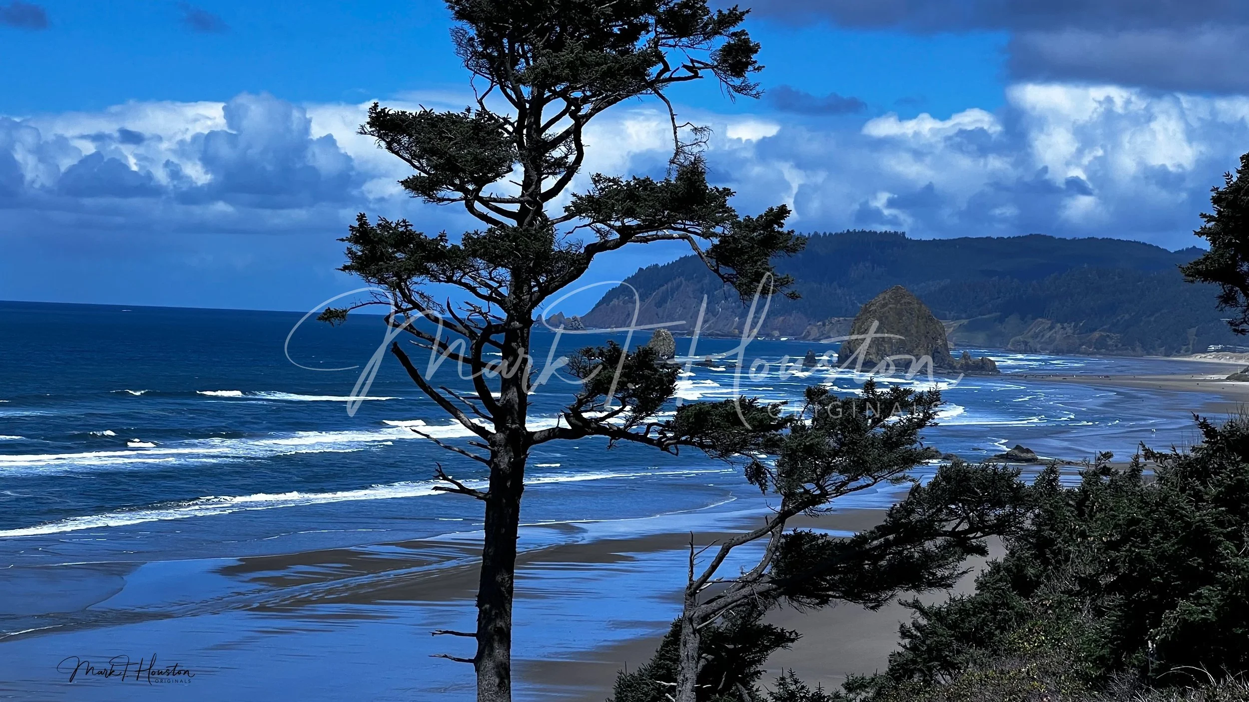 Oregon Coast