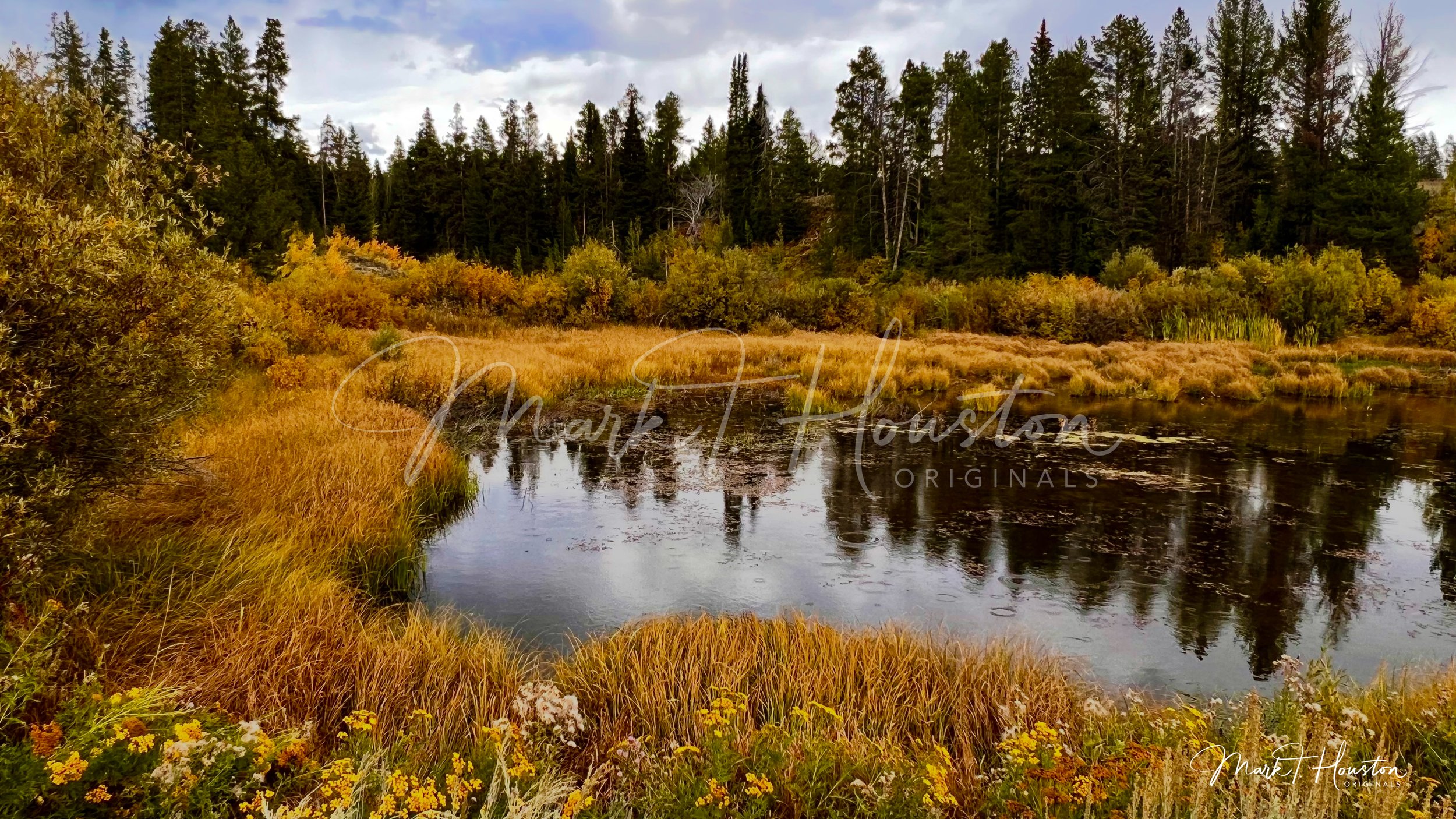 Willow Flats in Grand Teton National Park
