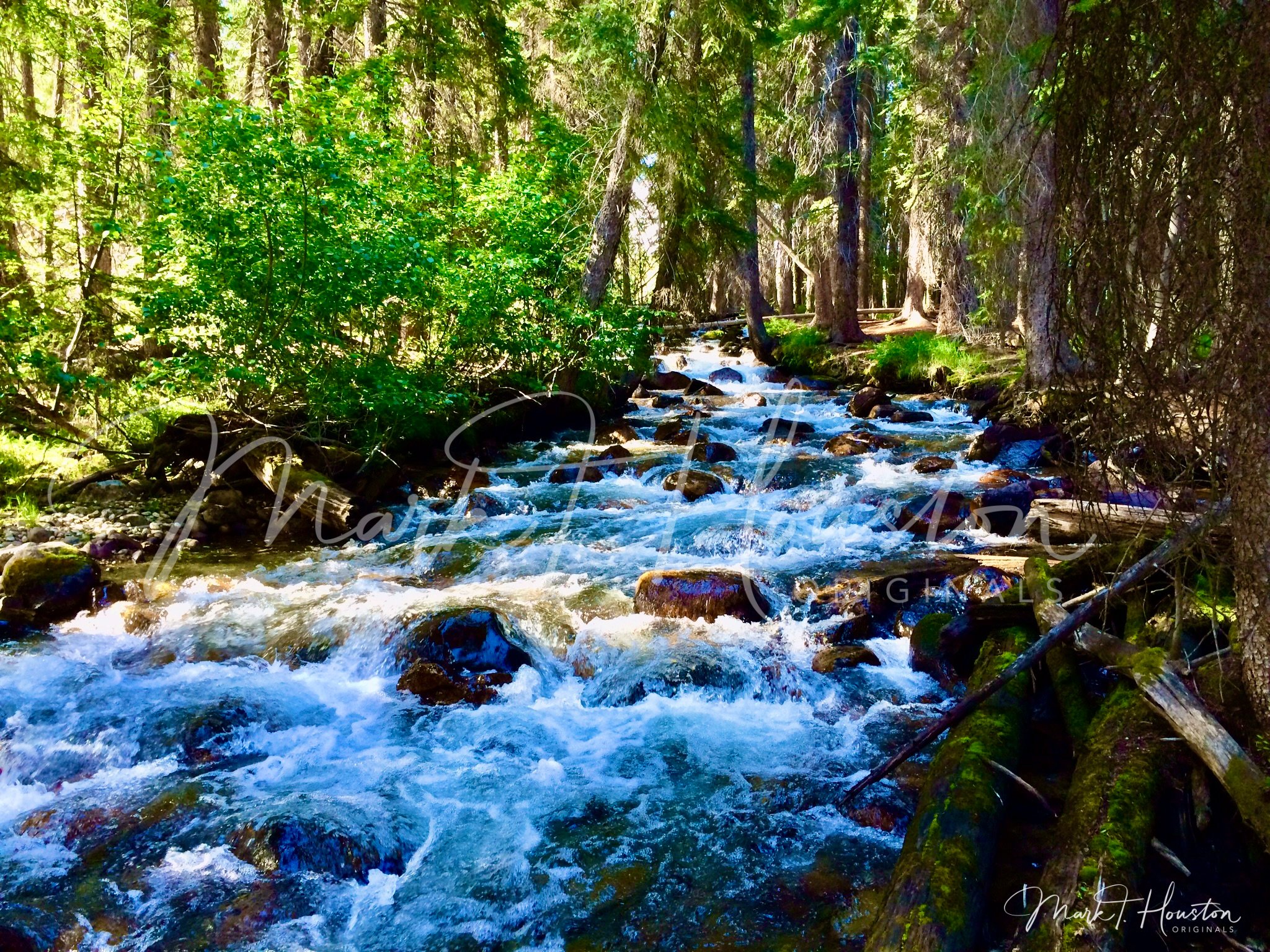 Mountain Stream