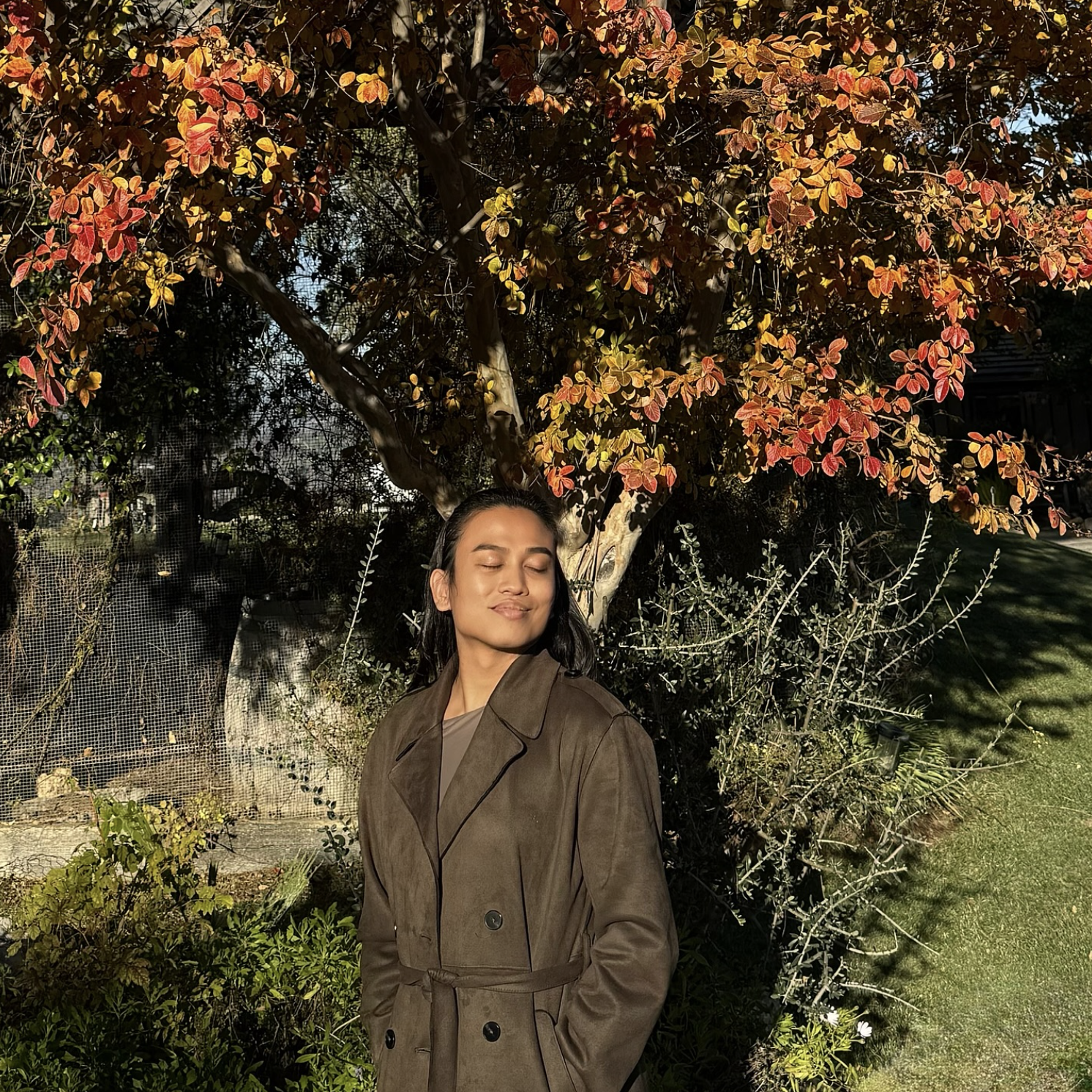 Serving Gratitude: A Thanksgiving Reflection