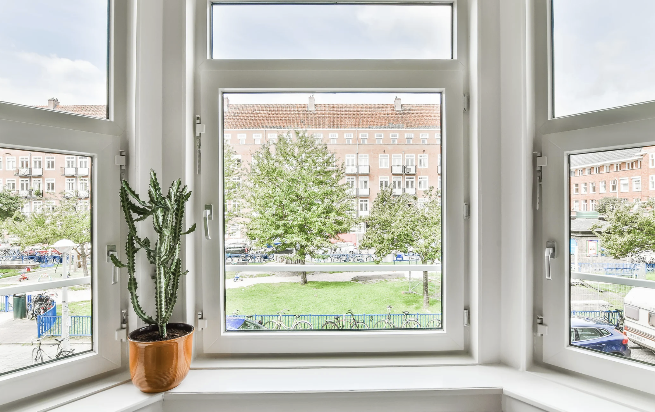 White-framed bay window with clean trim and modern hardware overlooking a green courtyard and brick apartments, with a cactus on the sill.