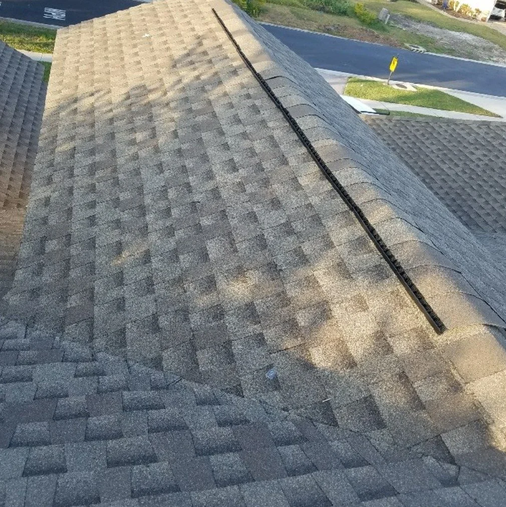 Shingle Roof Replacement