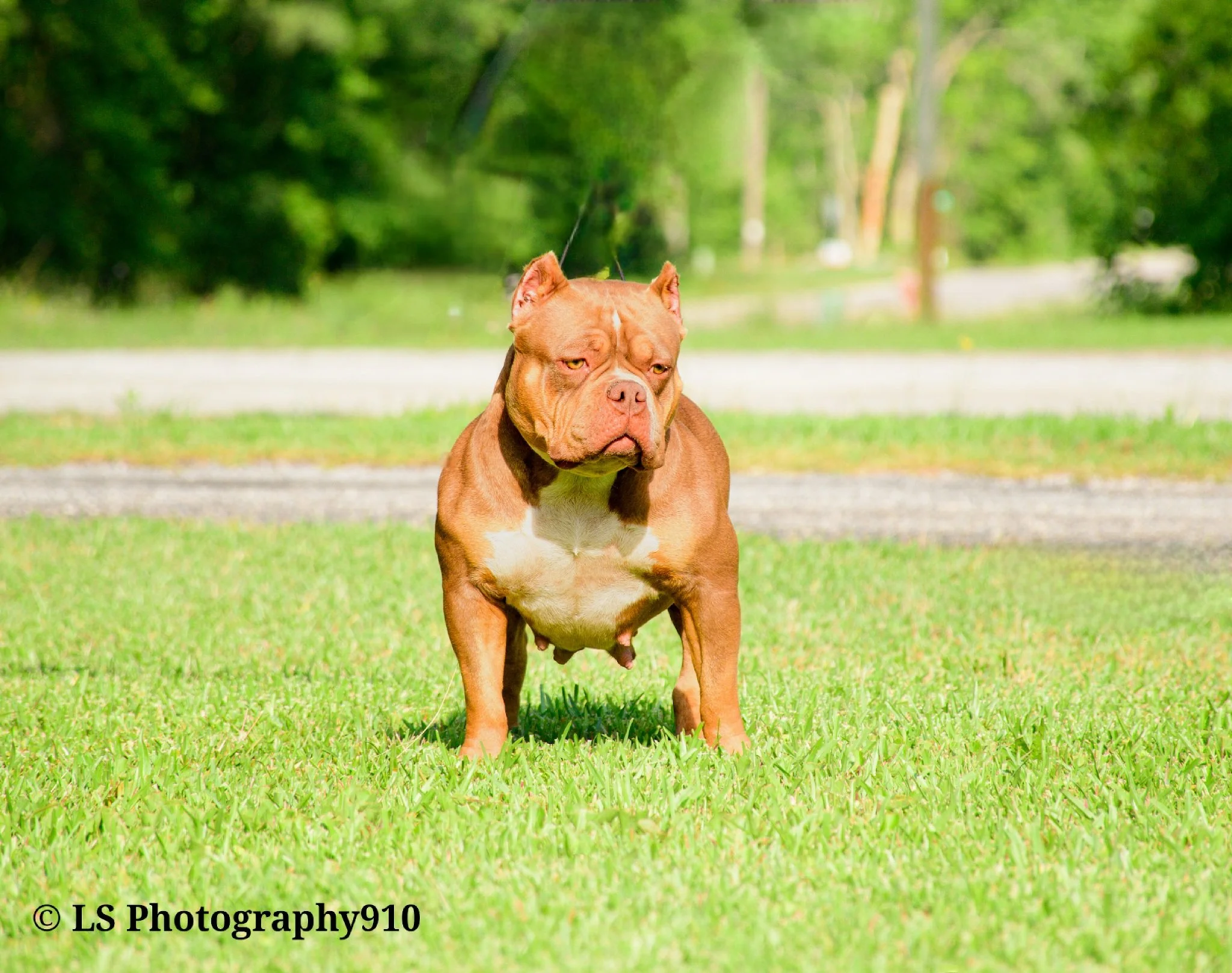 DSC_1724 (1) (1).jpg