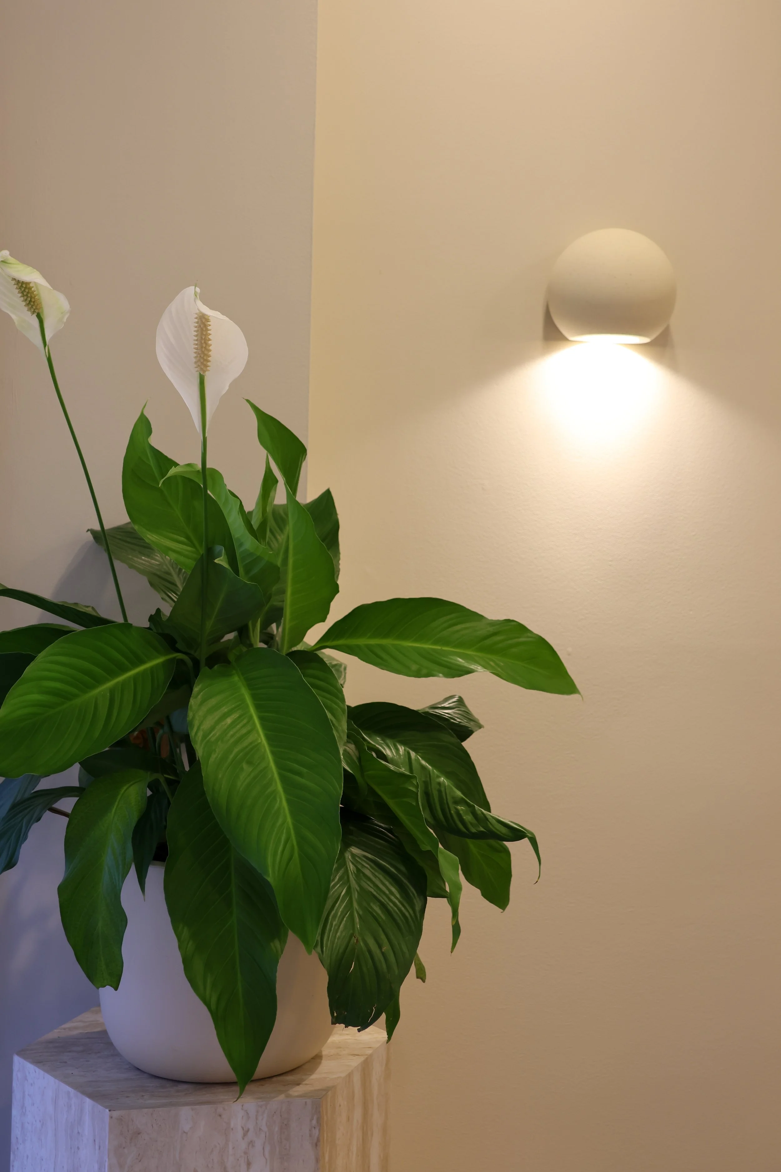 Believe in U-146.jpg